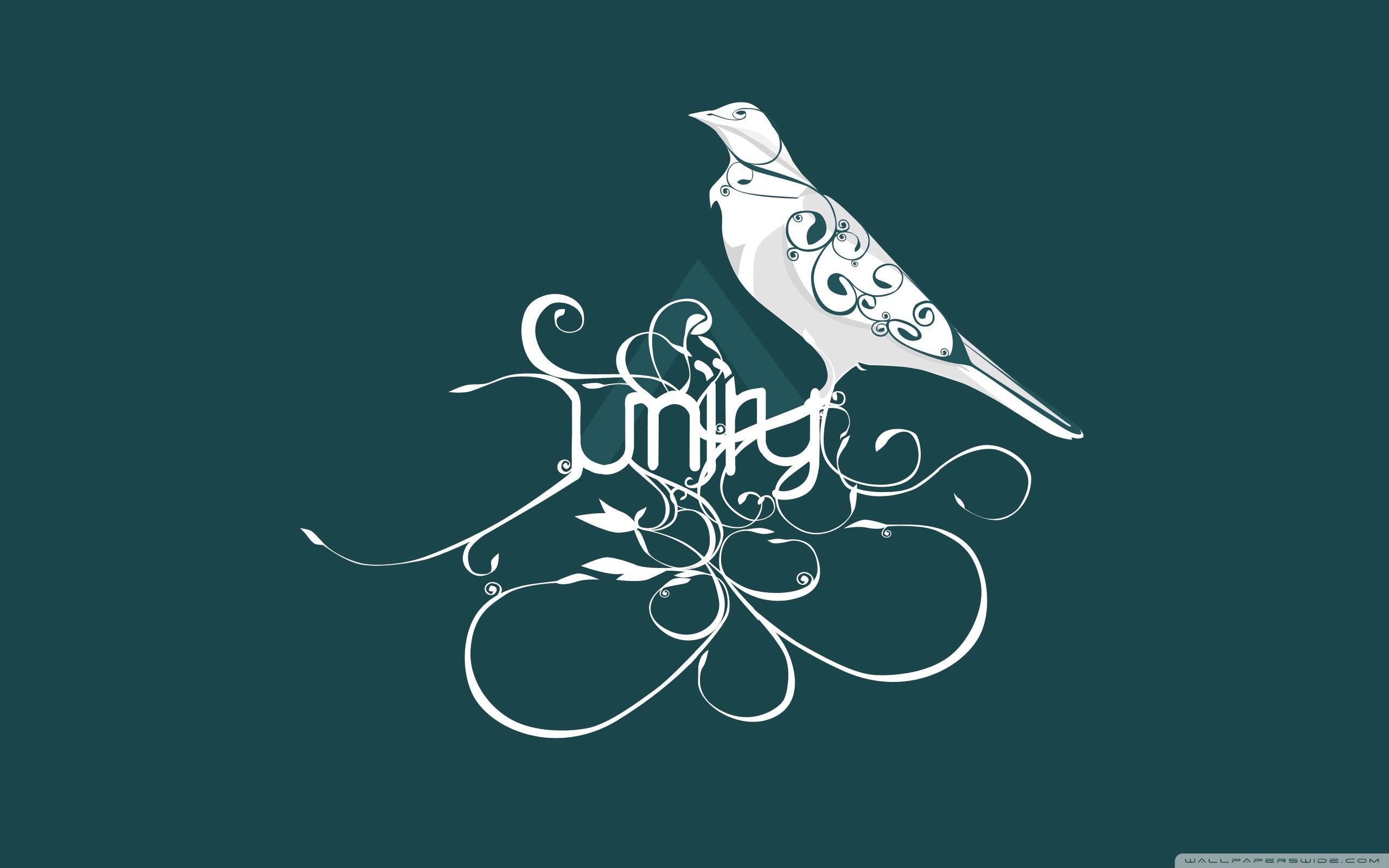 2560x1600 Bird Art Wallpaper