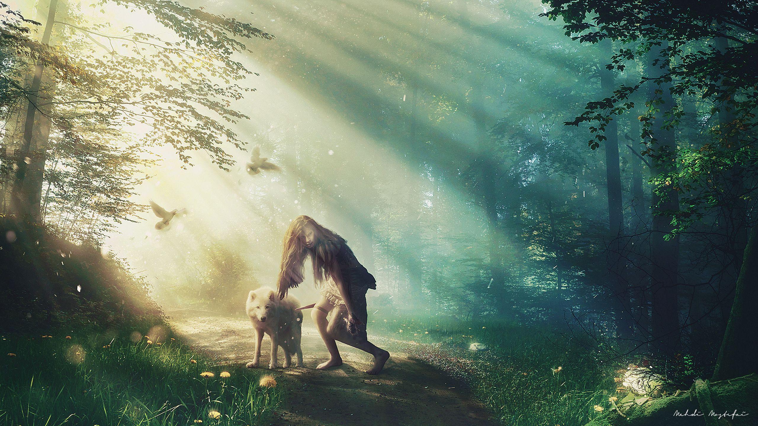2560x1440 Hunter Arctic wolf Wallpaper