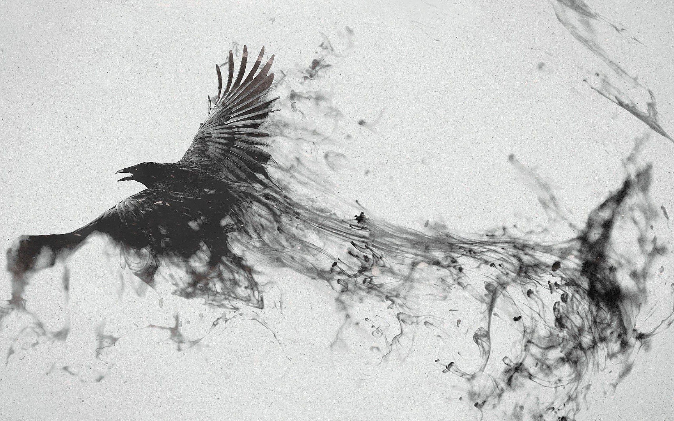 2560x1600 Raven Bird Art 2560x1600 Resolution HD 4k Wallpaper
