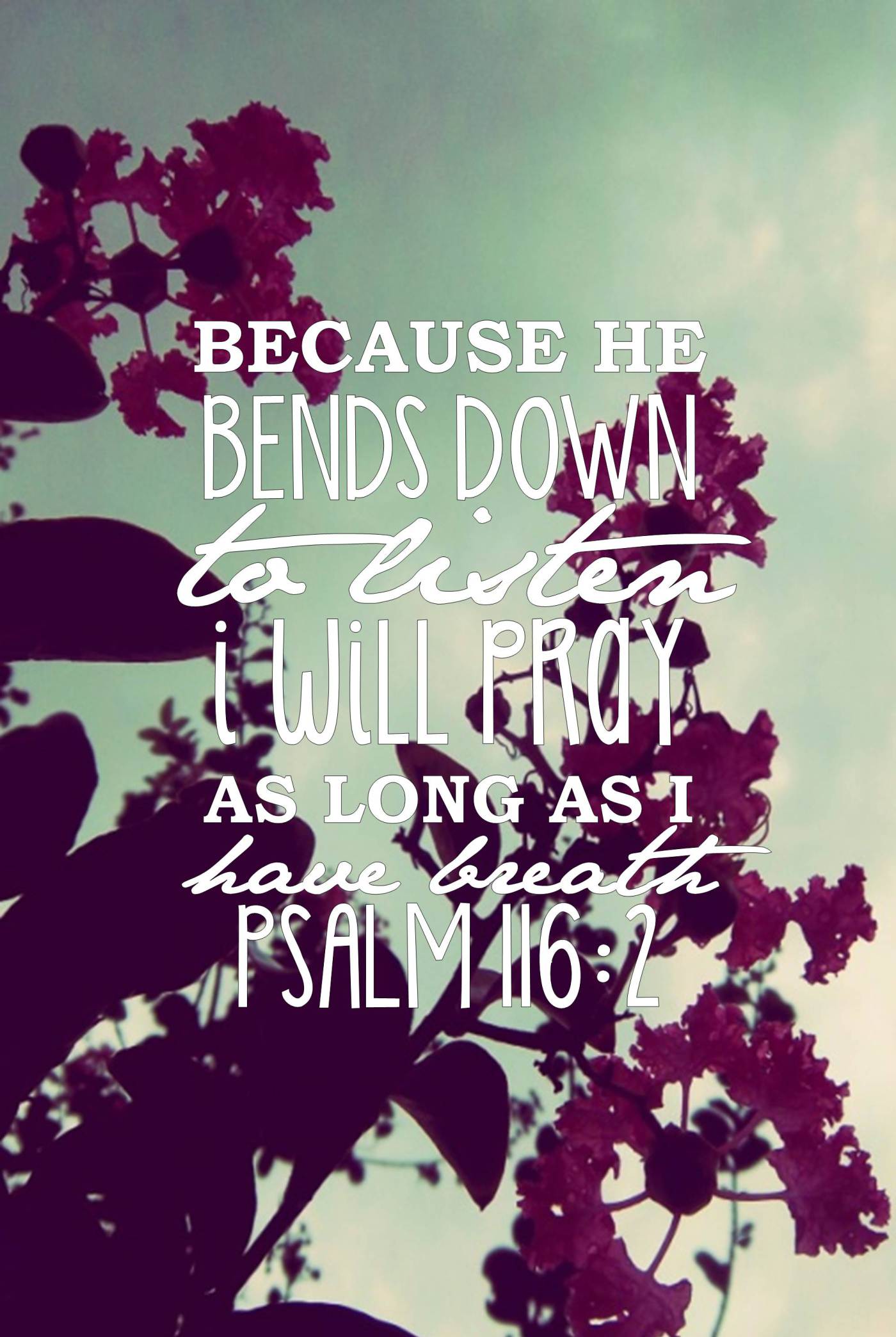 1400x2088 Pretty Christian iPhone wallpaper. Psalms is my favorite book