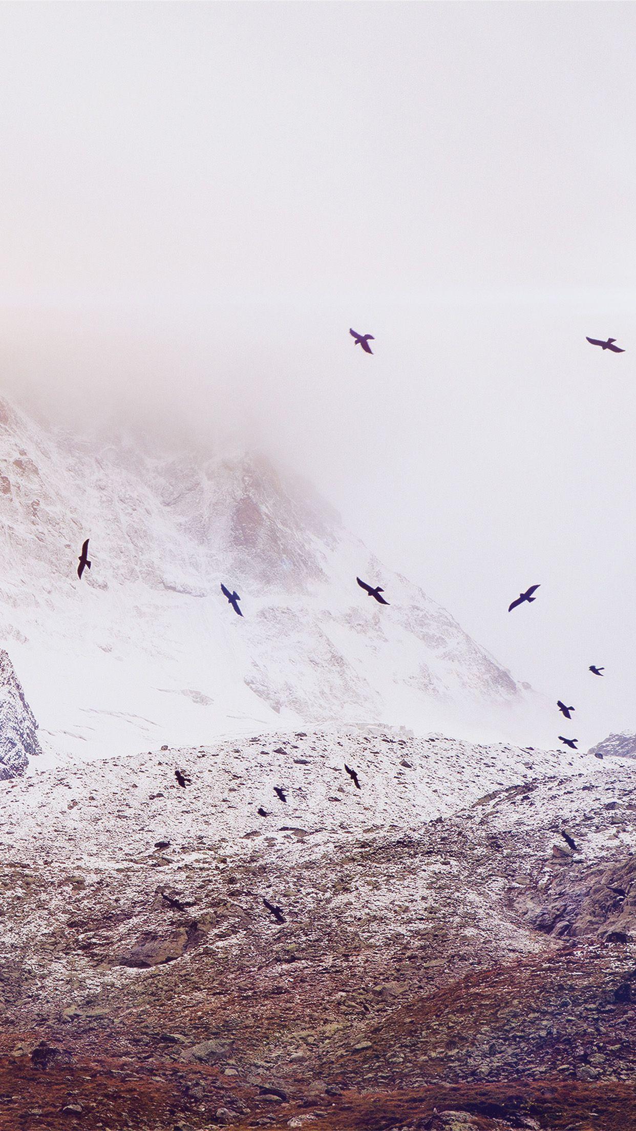 1242x2208 Vintage Snow Mountain Flying Birds Android Wallpaper free download