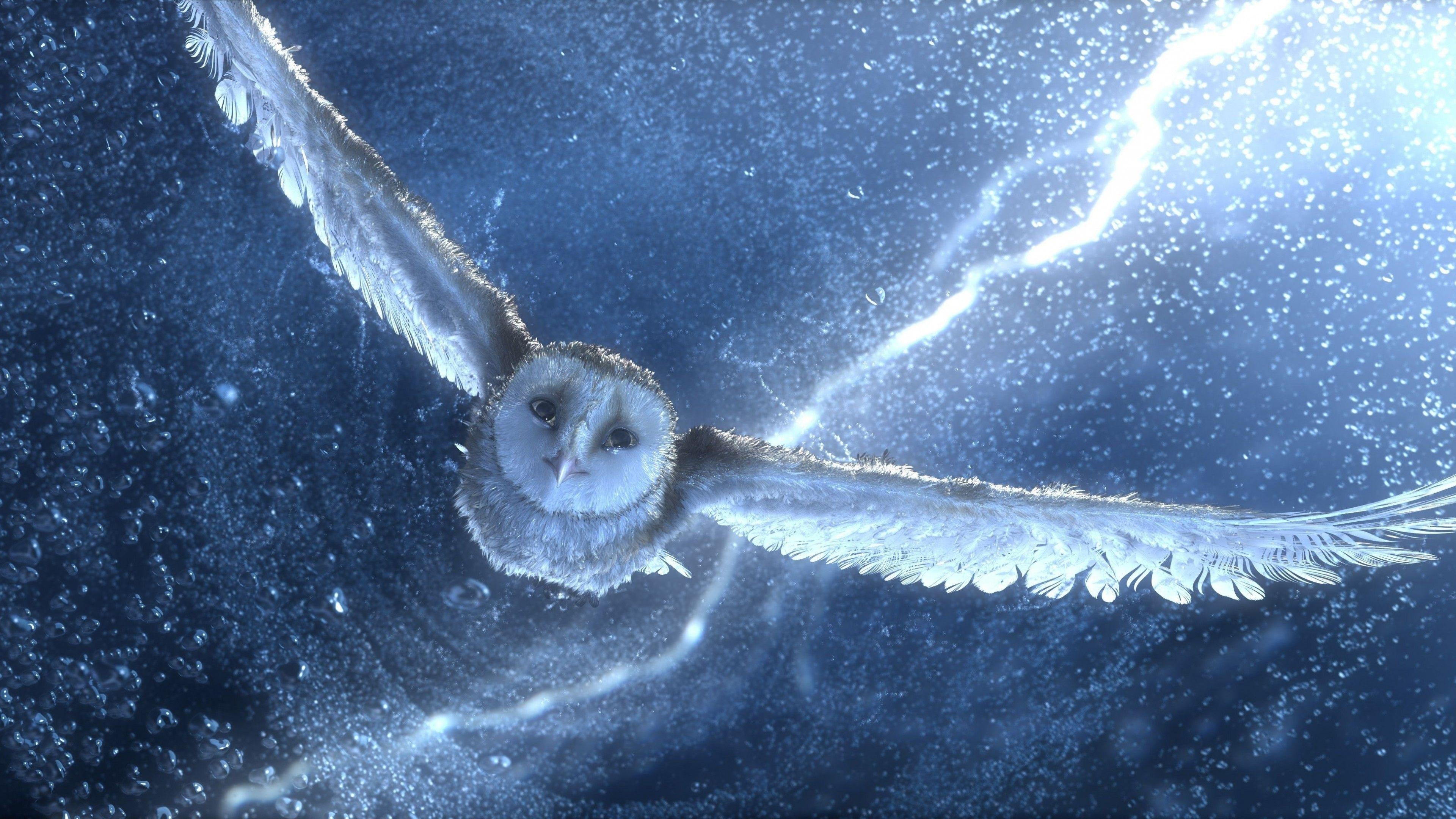 3840x2160 Wallpaper Owl, flying, snow, storm, lightning, blue, bird, art