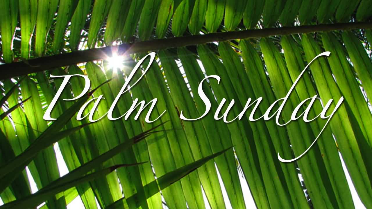 Palm Sunday Wallpapers - Top Free Palm Sunday Backgrounds - WallpaperAccess