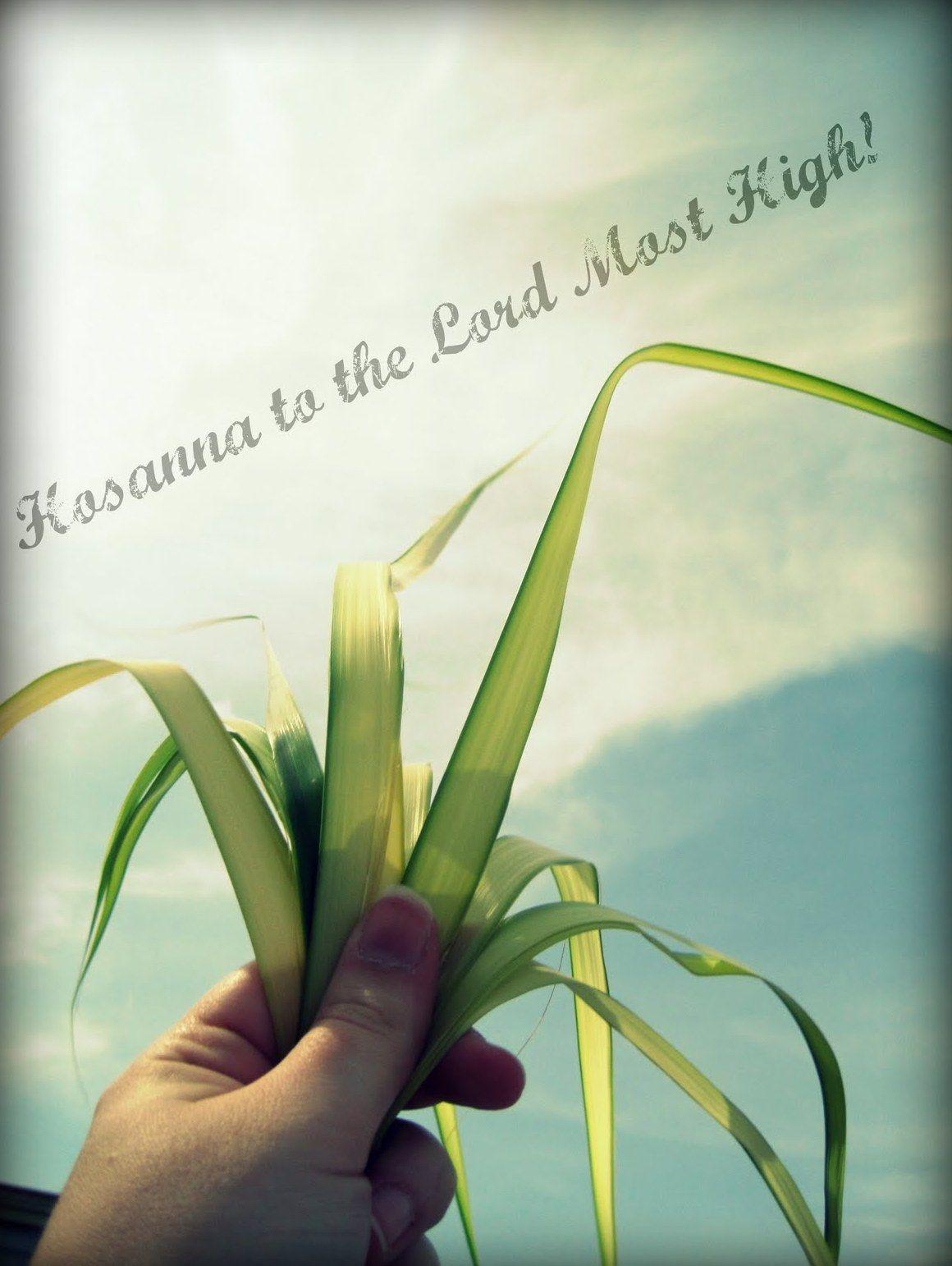 1160x1542 Free download palm sunday wallpaper downloadpalm sunday 1160x1542