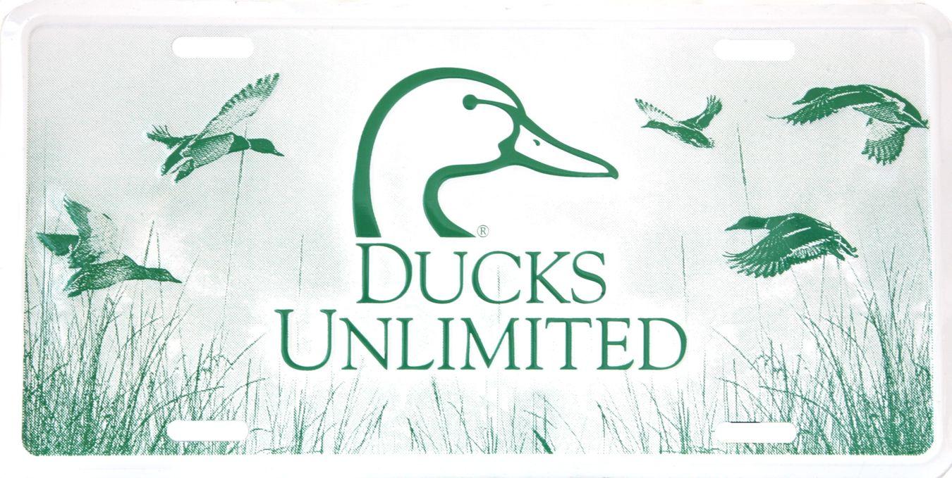 1350x679 Helena Ducks Unlimited Moose Hunting License Auction Brings
