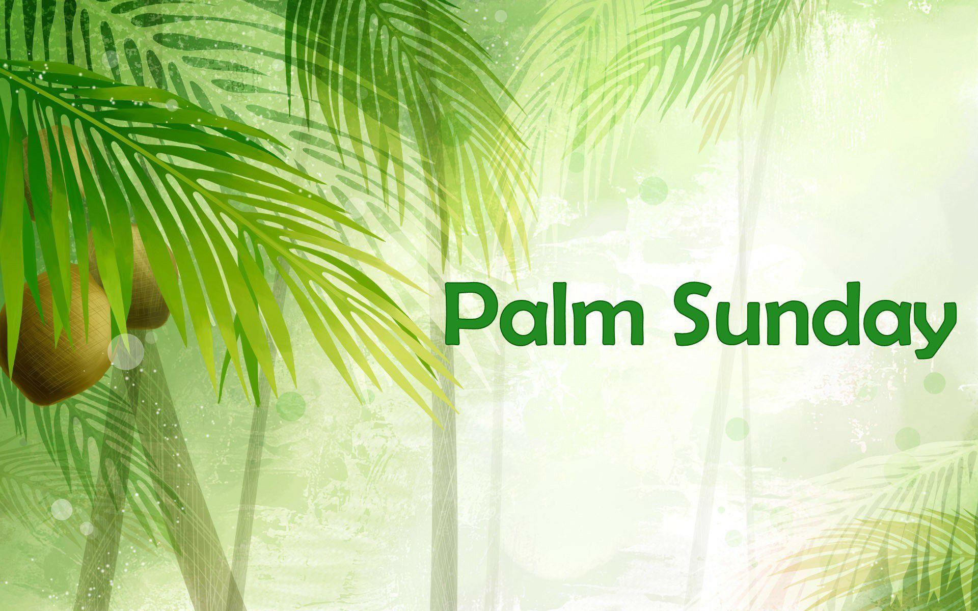 1920x1200 Palm Sunday Wallpaper