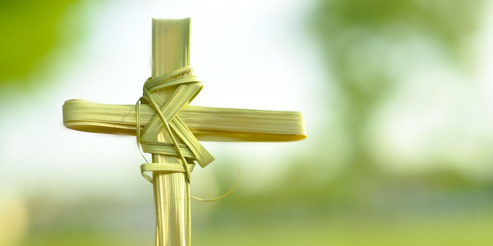 2000x1000 It's The Palm Sunday. Palm sunday, Palm branch, Happy palm sunday