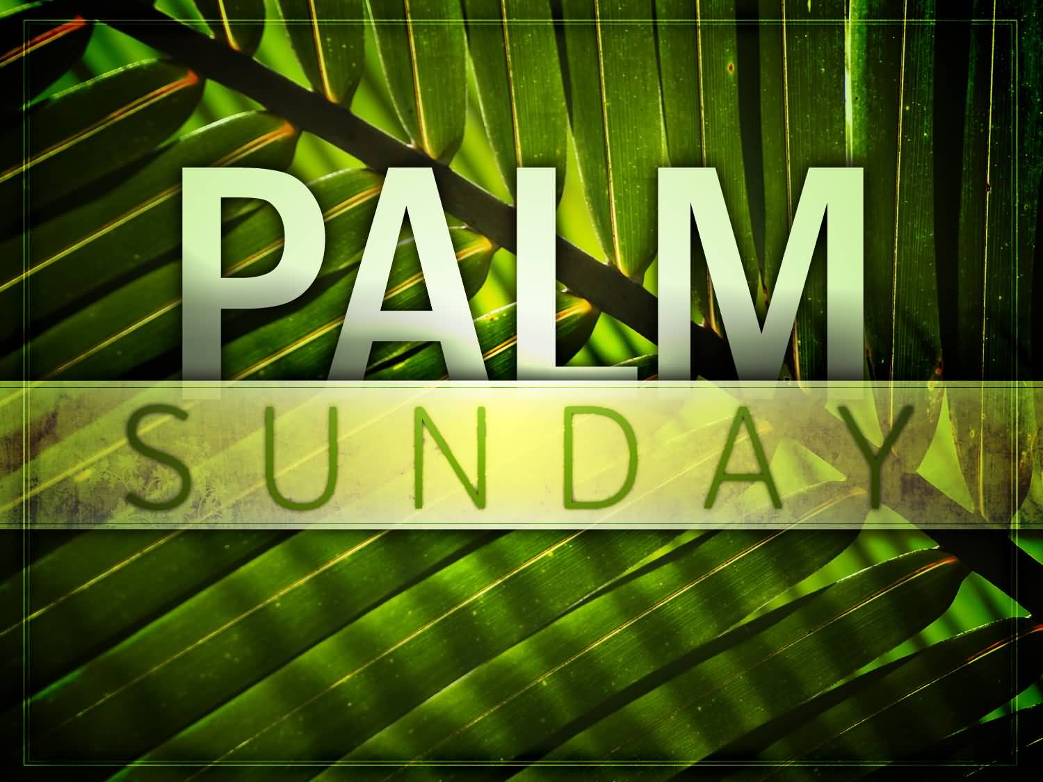1500x1125 Palm Sunday Wishes