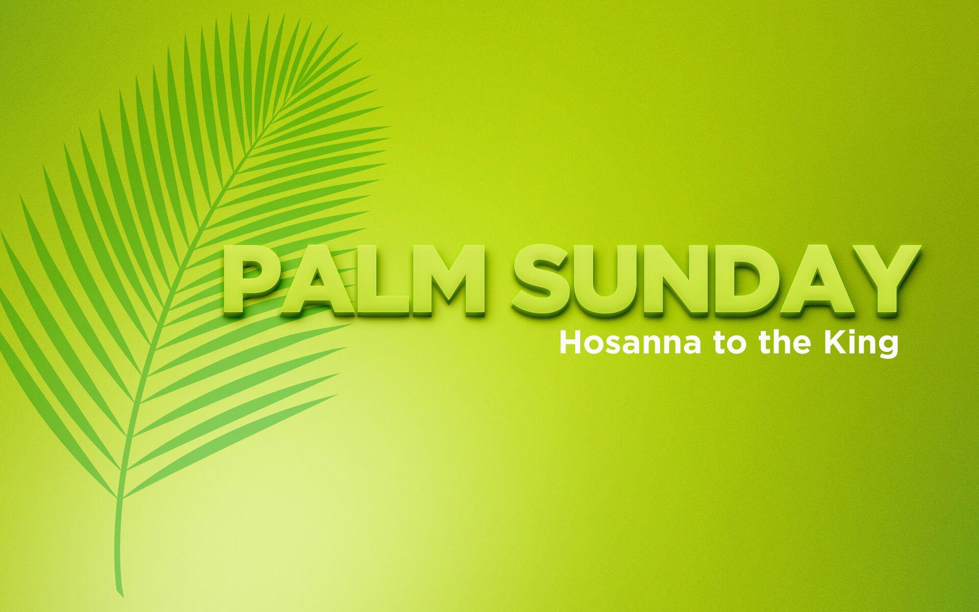 Palm Sunday Wallpapers - Top Free Palm Sunday Backgrounds - WallpaperAccess