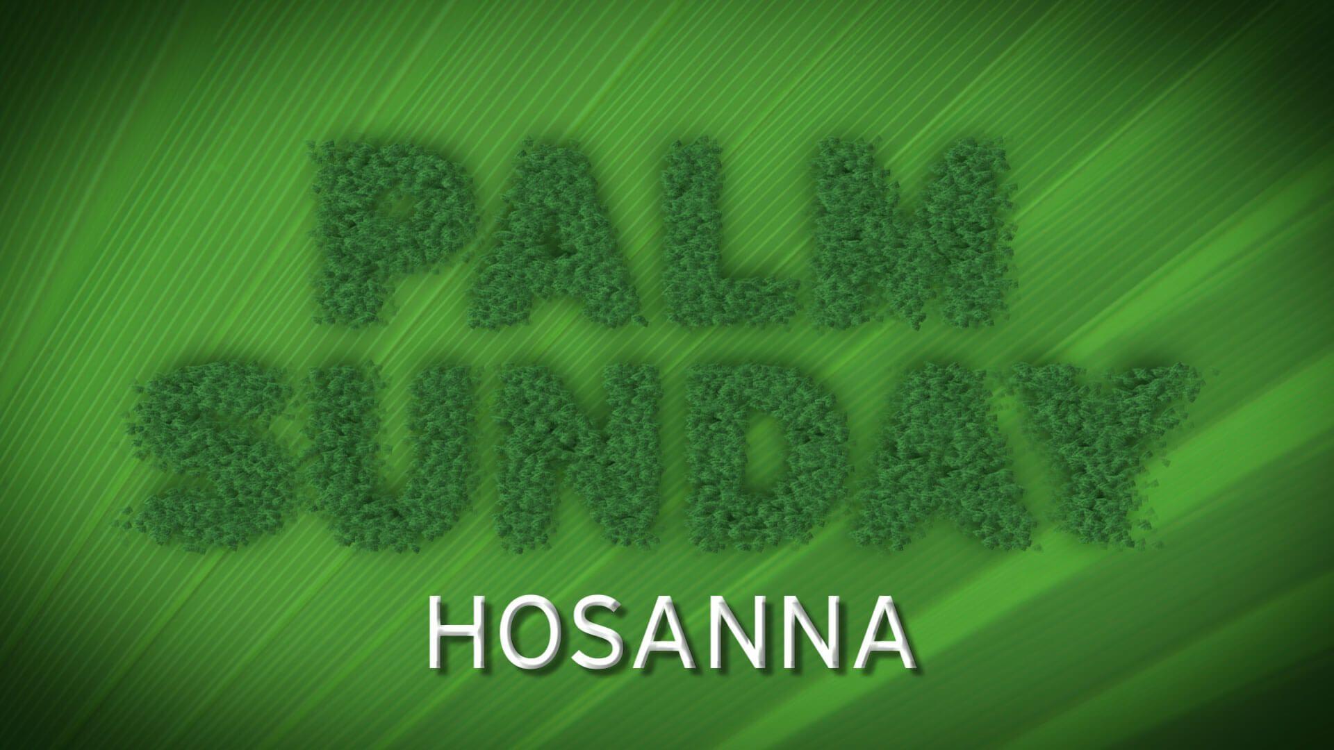 1920x1080 Palm Sunday Wallpaper