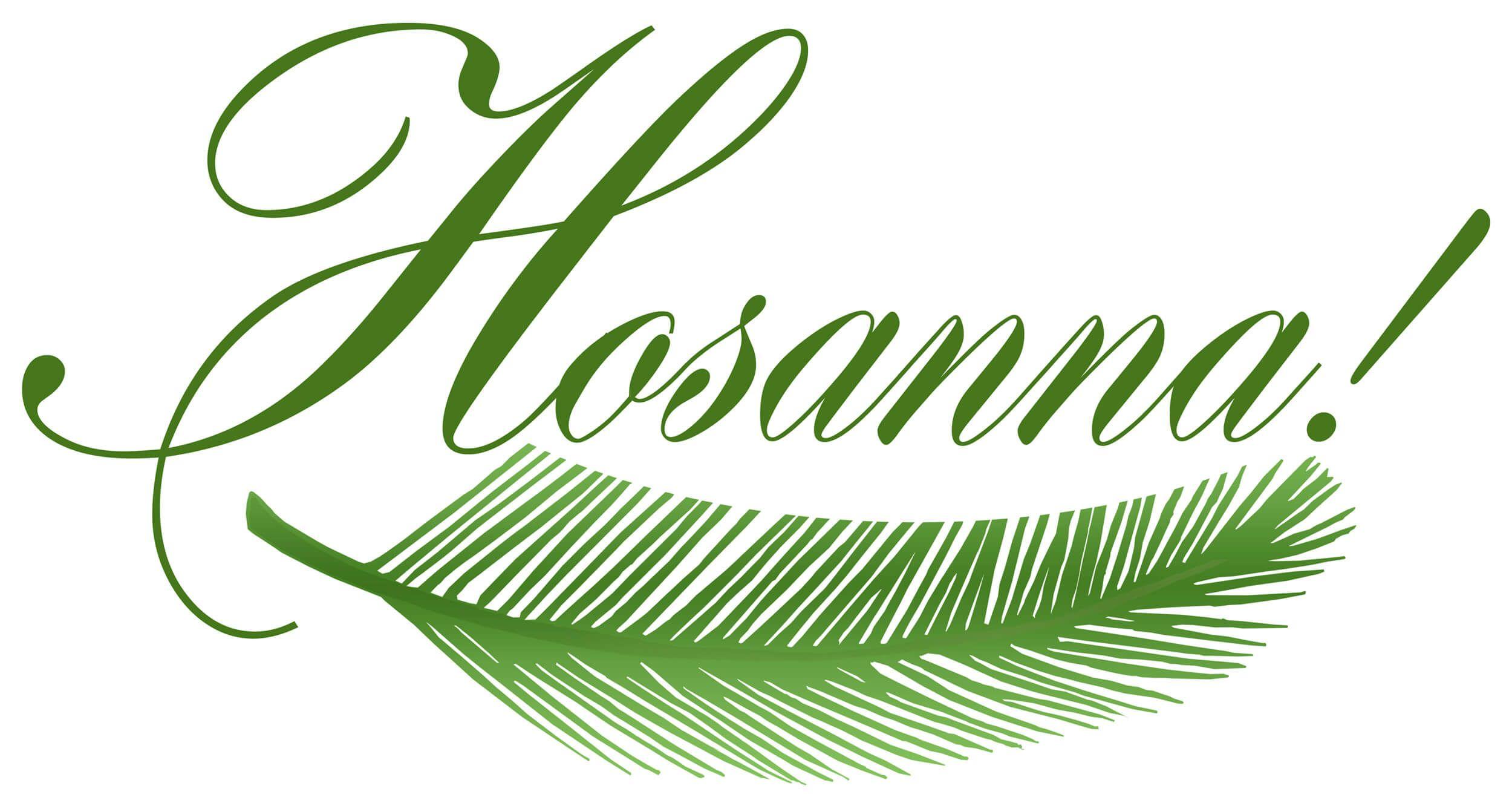 2500x1327 Palm Sunday Wallpaper