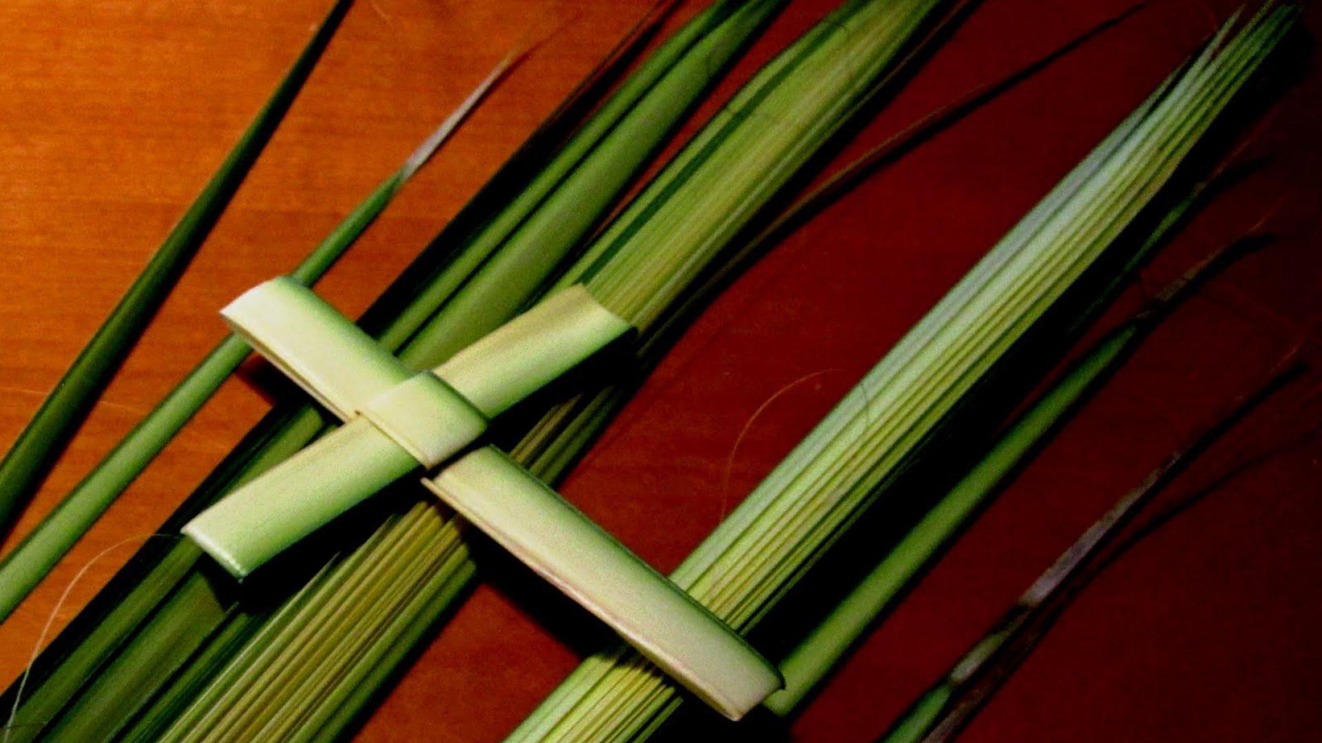 1920x1080 Palm Sunday Wallpaper