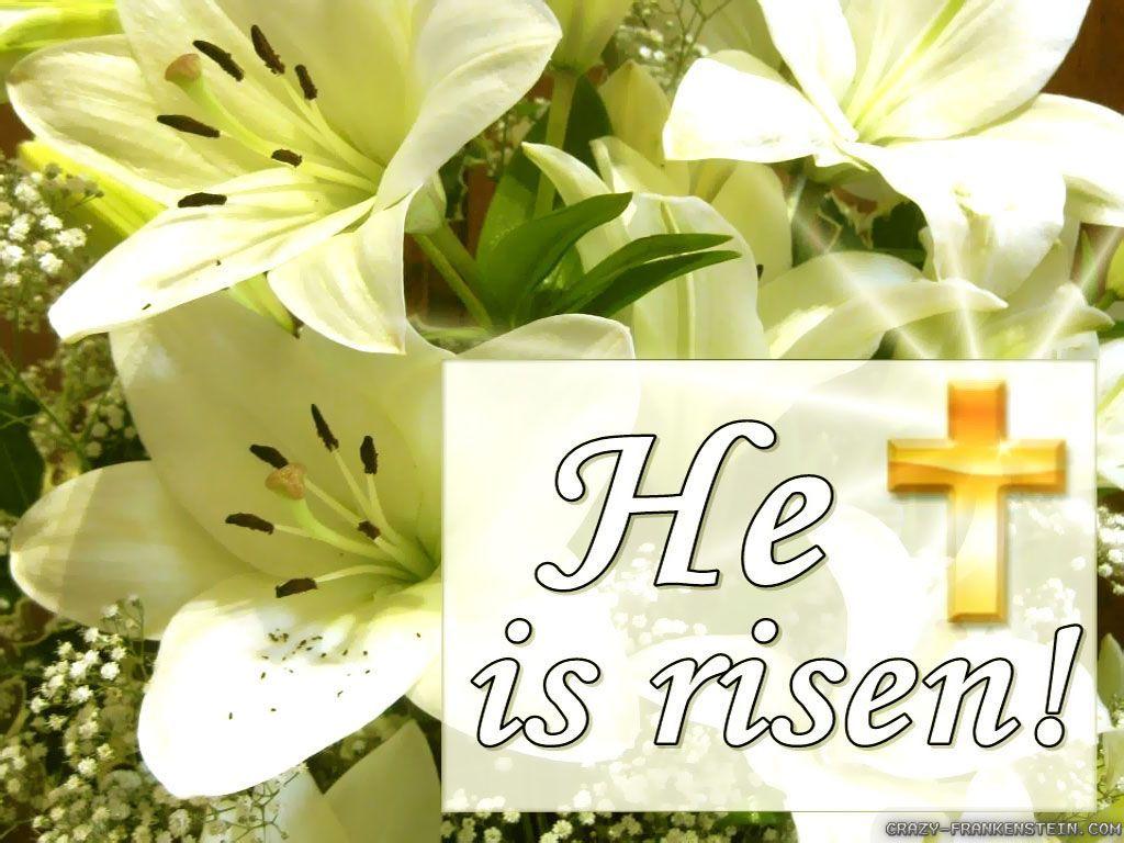 1024x768 Wp2451778 Palm Sunday Wallpaper ⋆ Christ Church Colne