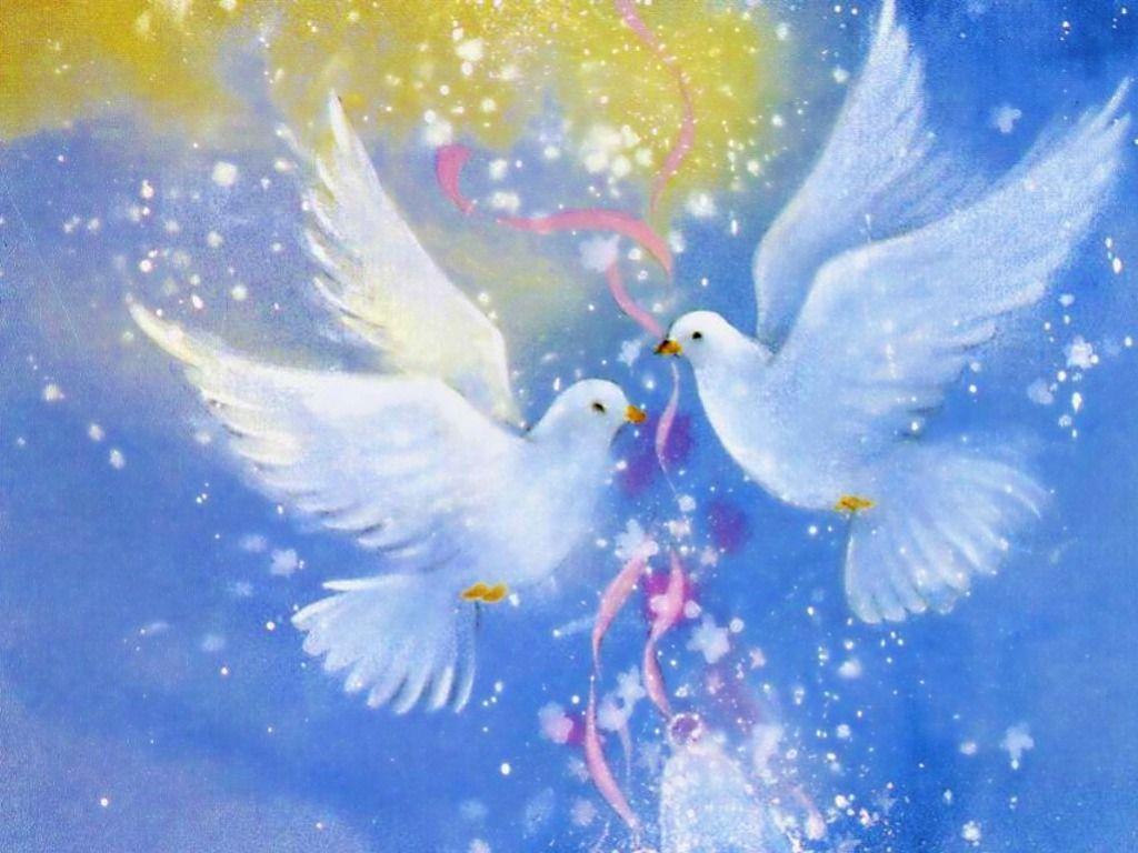 1024x768 Love Birds Selahblue (cynti19) Wallpaper