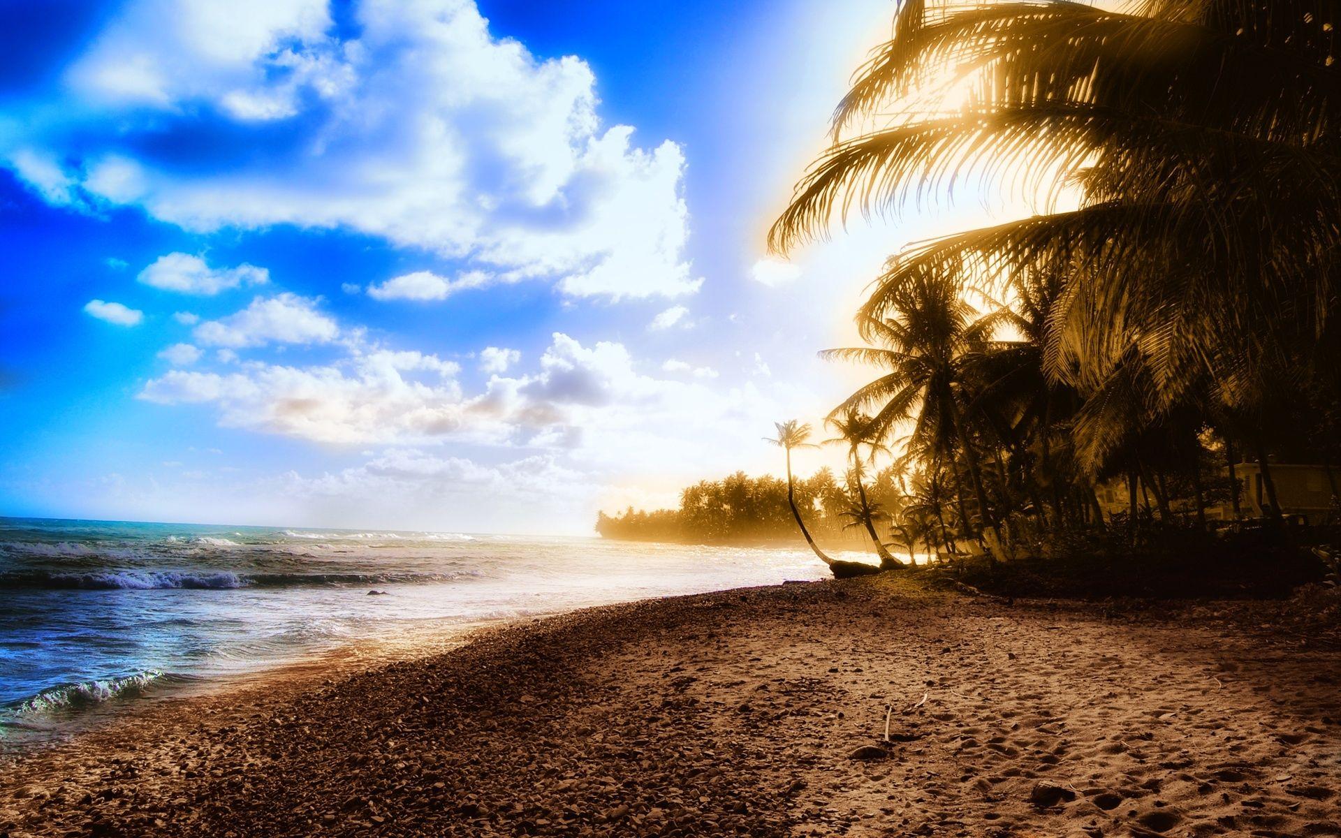 1920x1200 Sunny Beach, nature, summer, exotic desktop PC and Mac