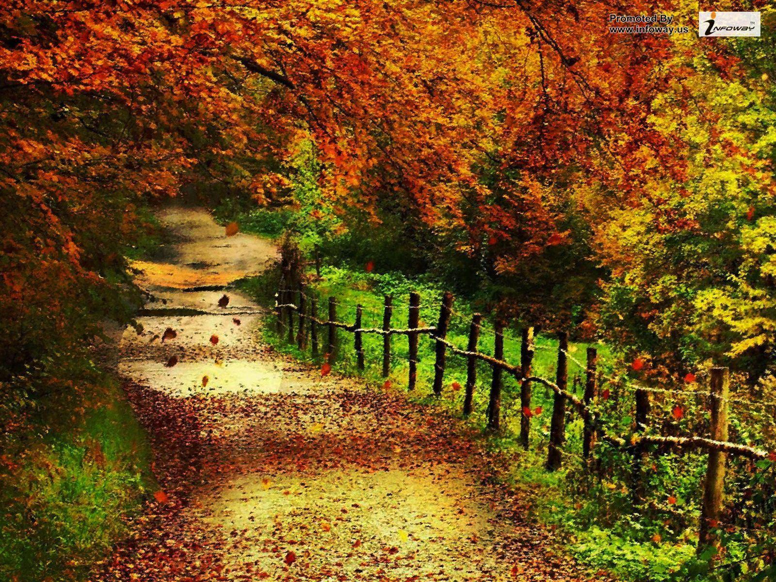 1600x1200 Free download Beautiful Autumn Scenery Wallpaper 01 1600x1200