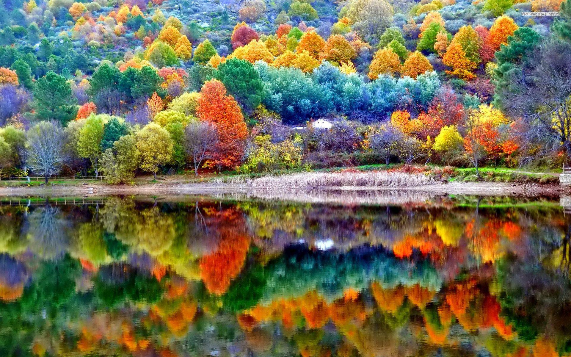 1920x1200 Autumn Scenery, HD Nature, 4k Wallpaper, Image, Background