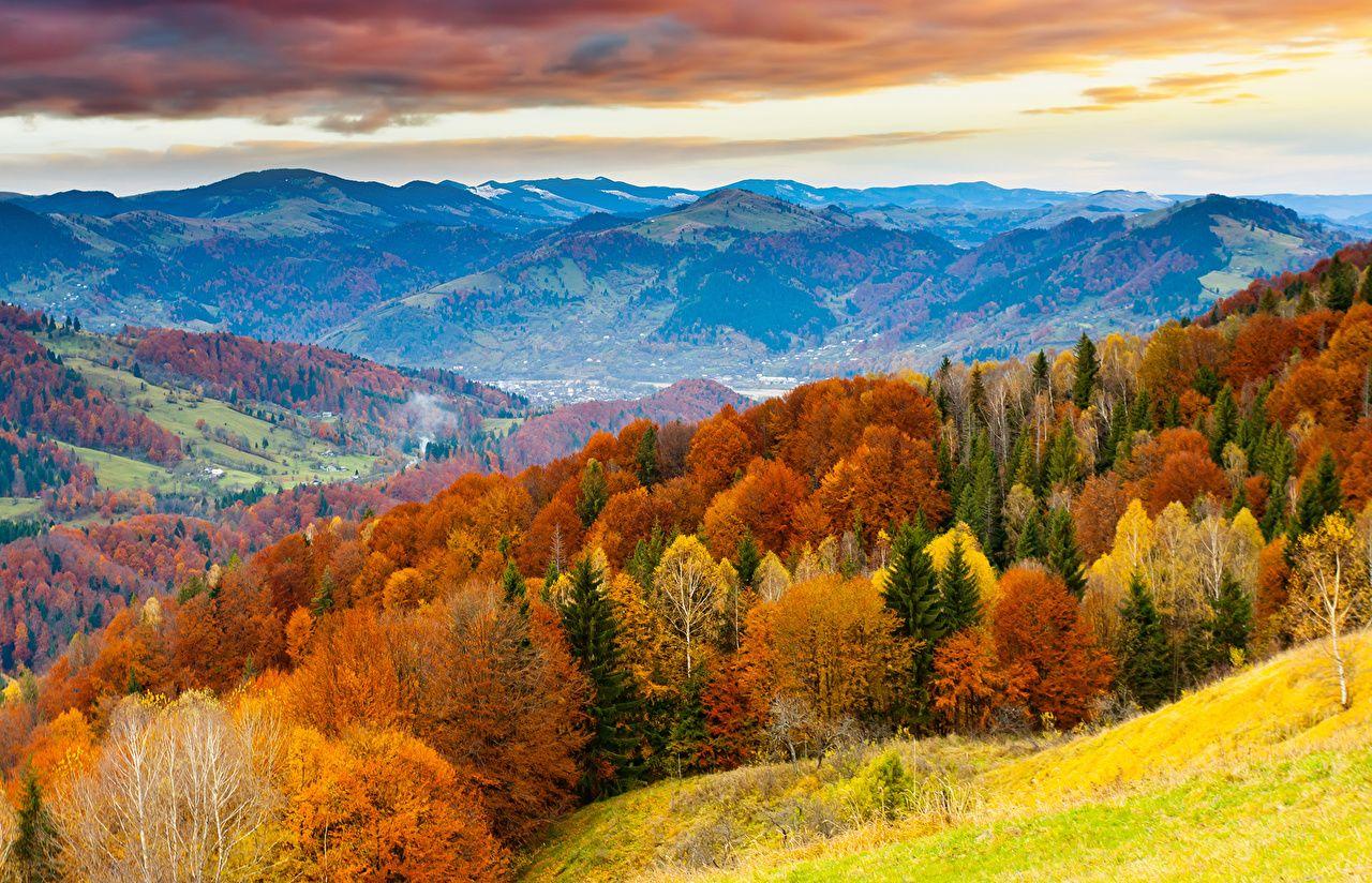 1280x824 Desktop Wallpaper Nature Autumn forest Scenery