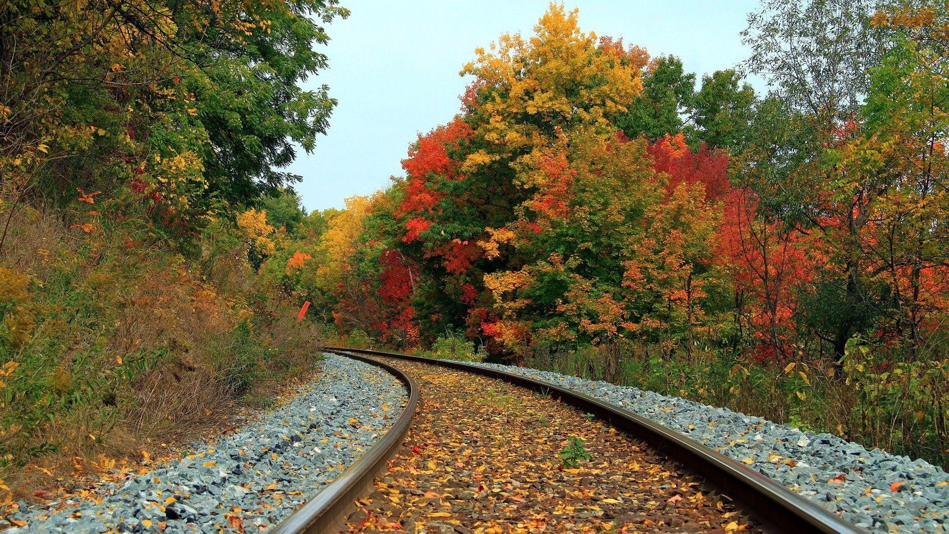 1920x1080 Beautiful Autumn Scenery Wallpaper