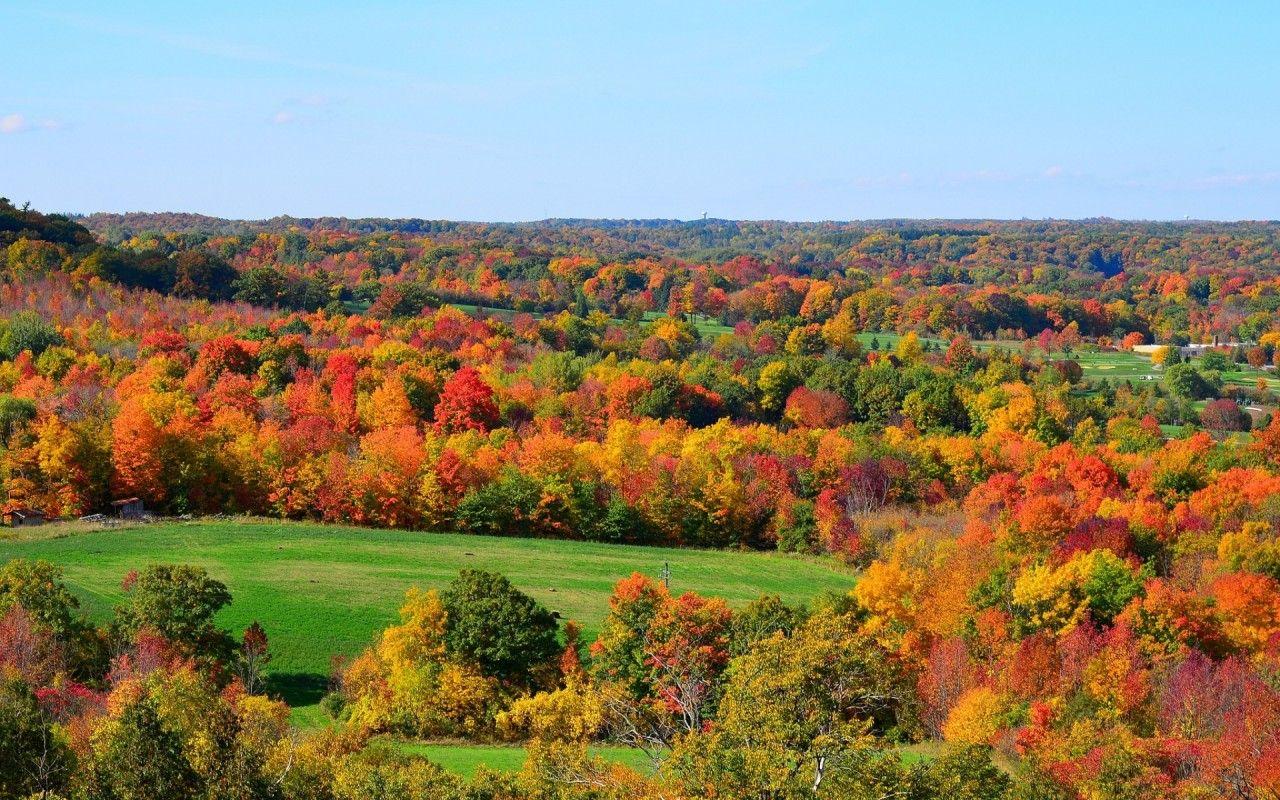1280x800 Magnificent Autumn Scenery wallpaper. Magnificent Autumn Scenery
