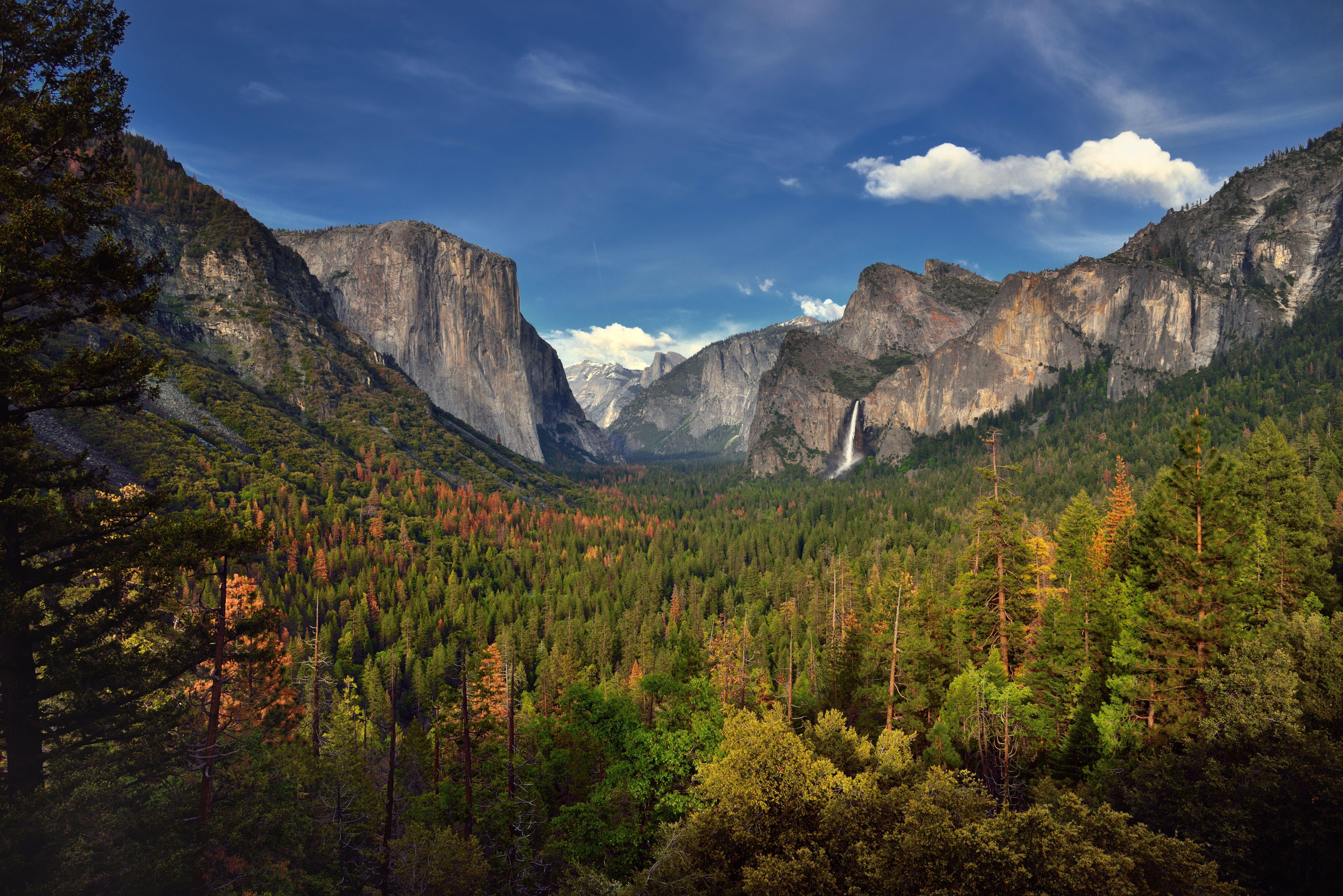 Yosemite National Park Wallpapers - Top Free Yosemite National Park ...