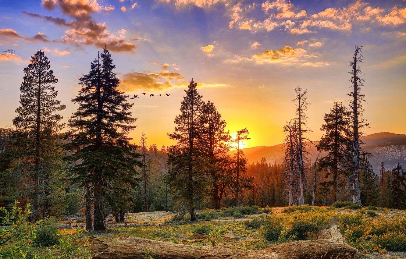 1332x850 Wallpaper CA, USA, Yosemite National Park image for desktop