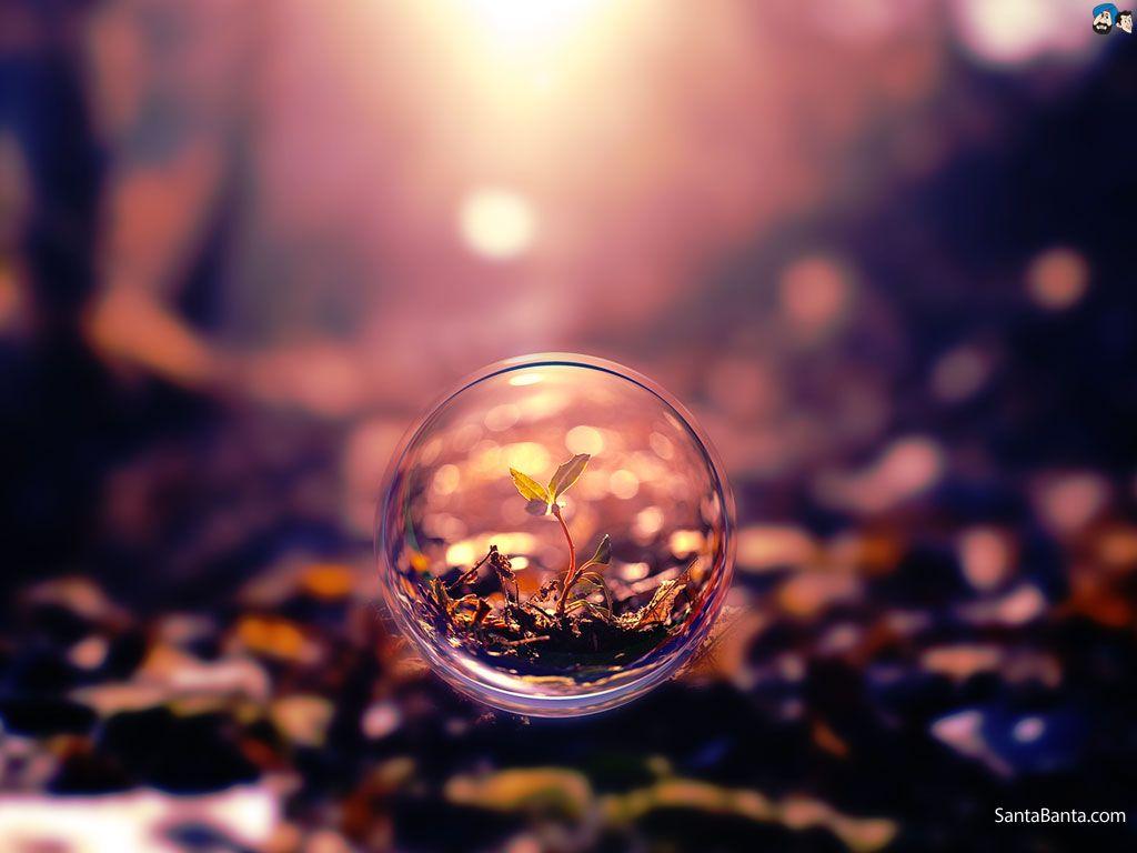 1024x768 Photography Wallpaper, Free Stock Wallpaper