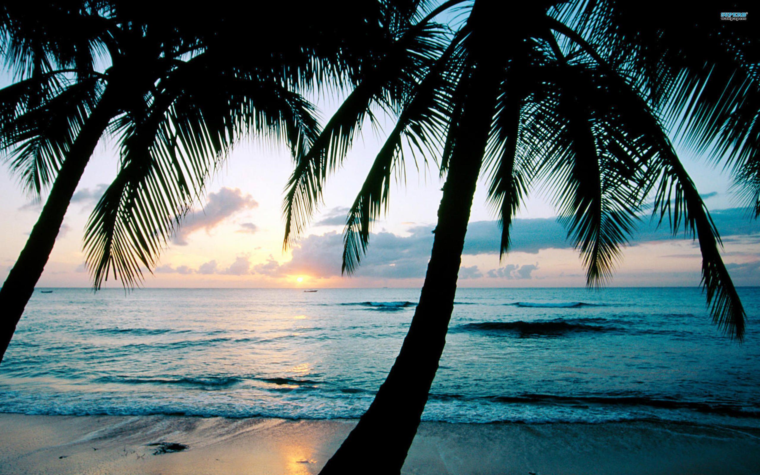 2560x1600 Seascape Wallpaper 08 - [2560x1600]