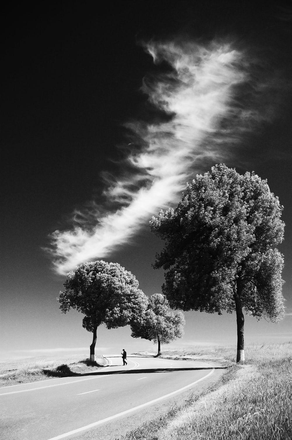1000x1504 Pretty Wallpaper: Free HD Download [HQ]