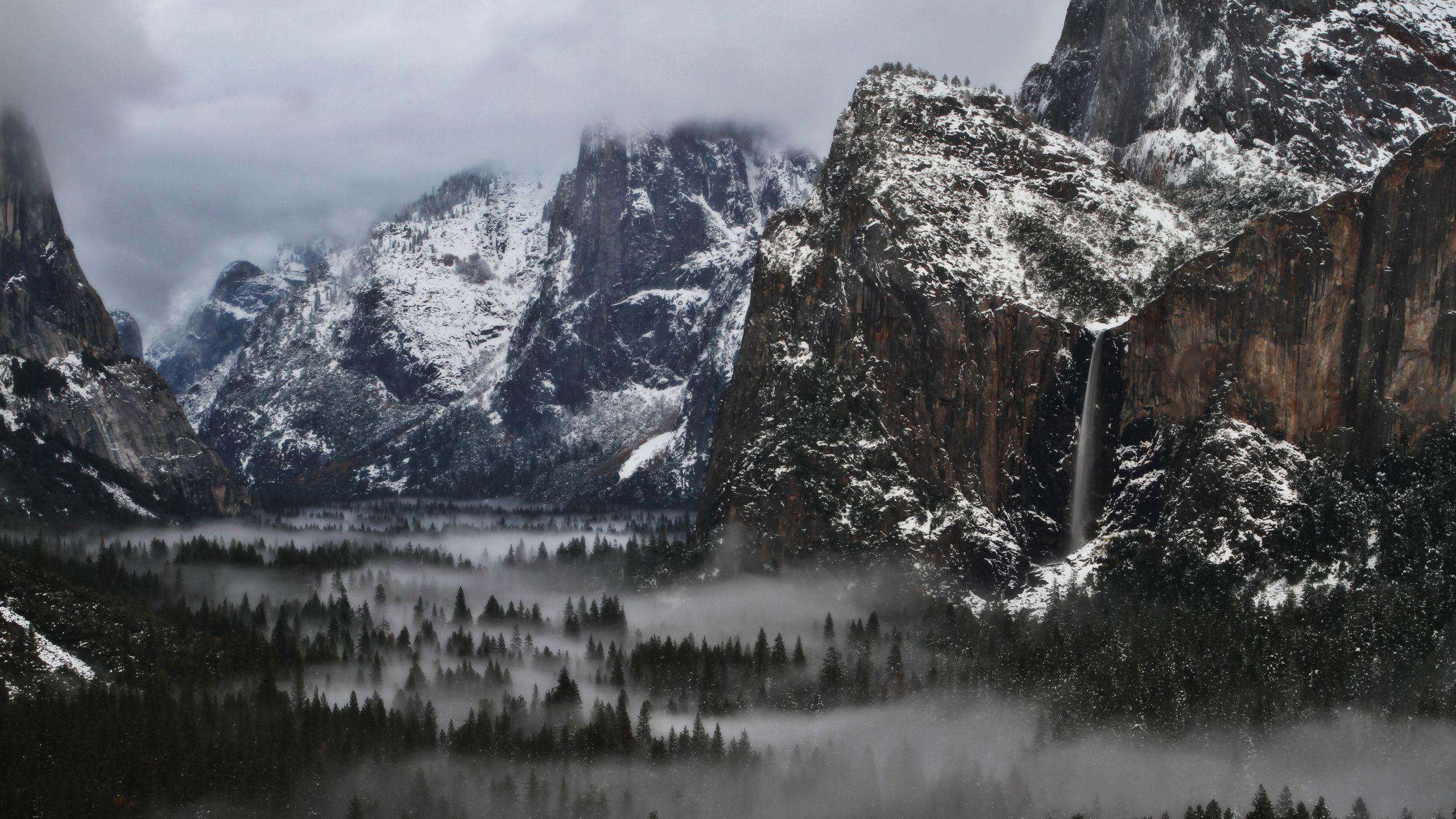 2560x1440 Yosemite National Park Winter Scenery Wallpaper