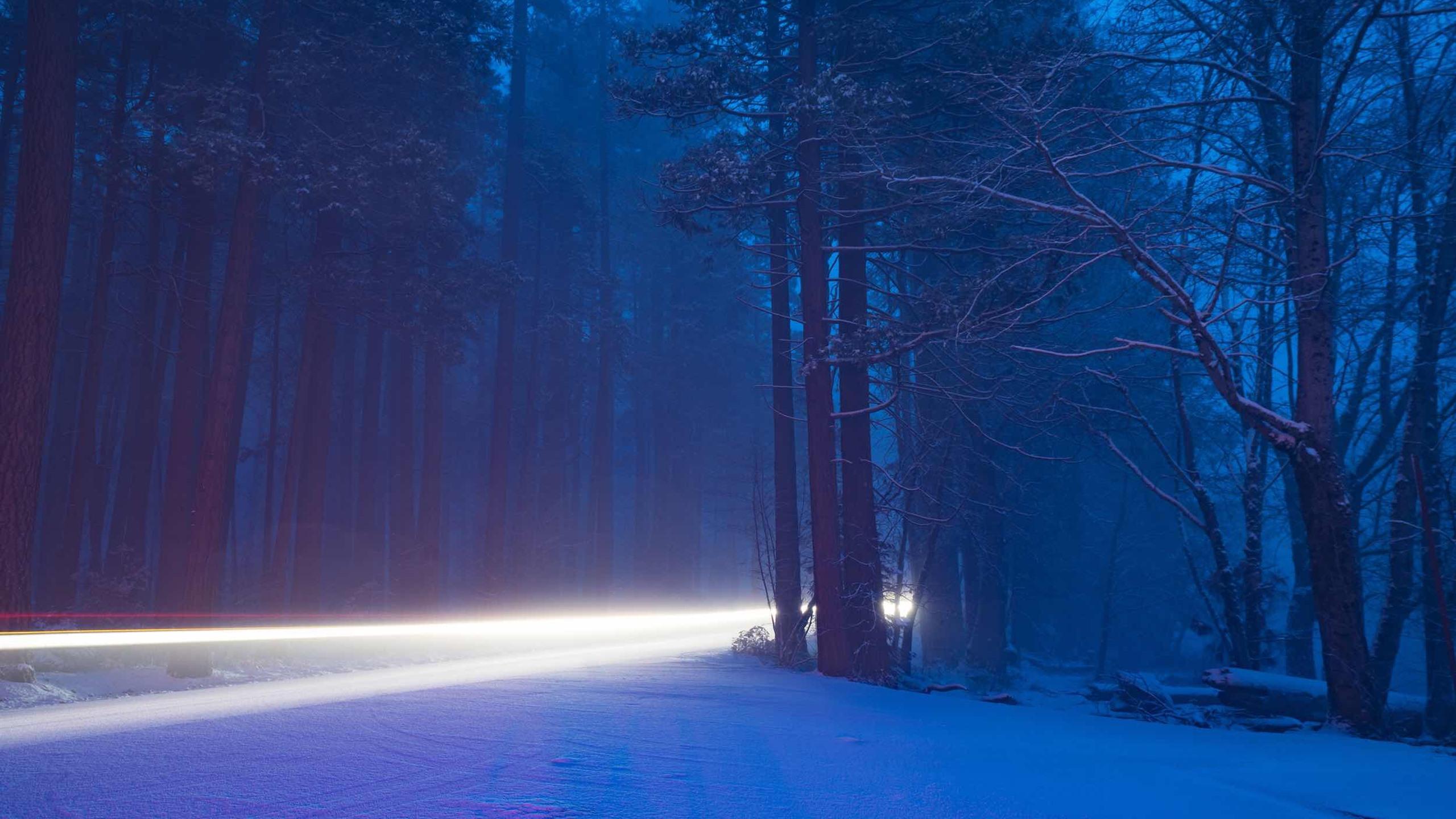 2560x1440 Wallpaper Yosemite National Park, beautiful nature landscape, snow