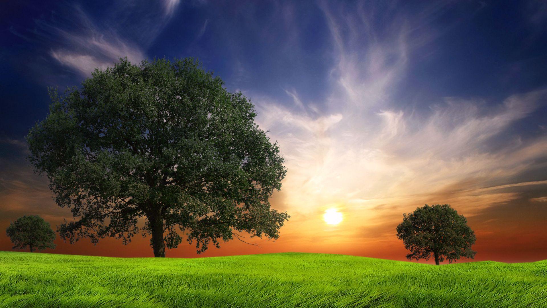 1920x1080 Awesome Nature wallpaperx1080