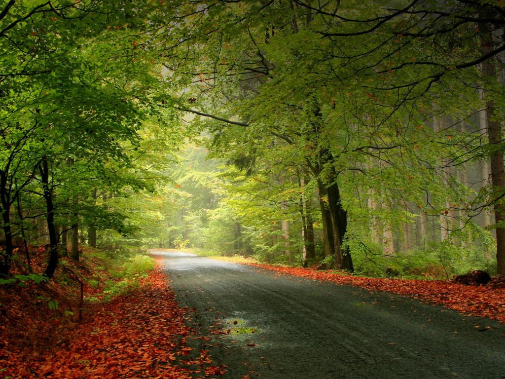 1024x768 Awesome Natural Wallpaper 1600×1200 1024×768