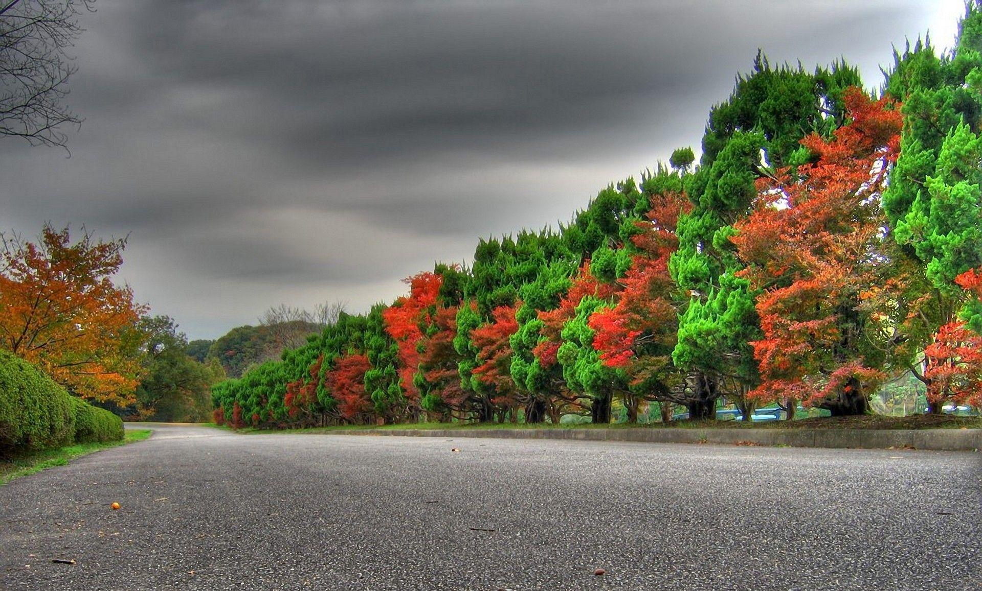 1920x1157 HD Wallpaper for PC of Nature