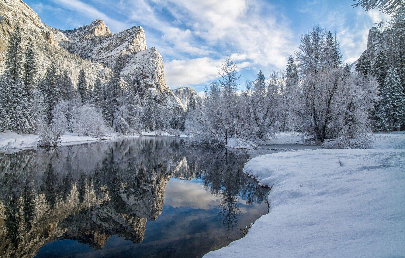 1332x850 Wallpaper winter, snow, trees .
