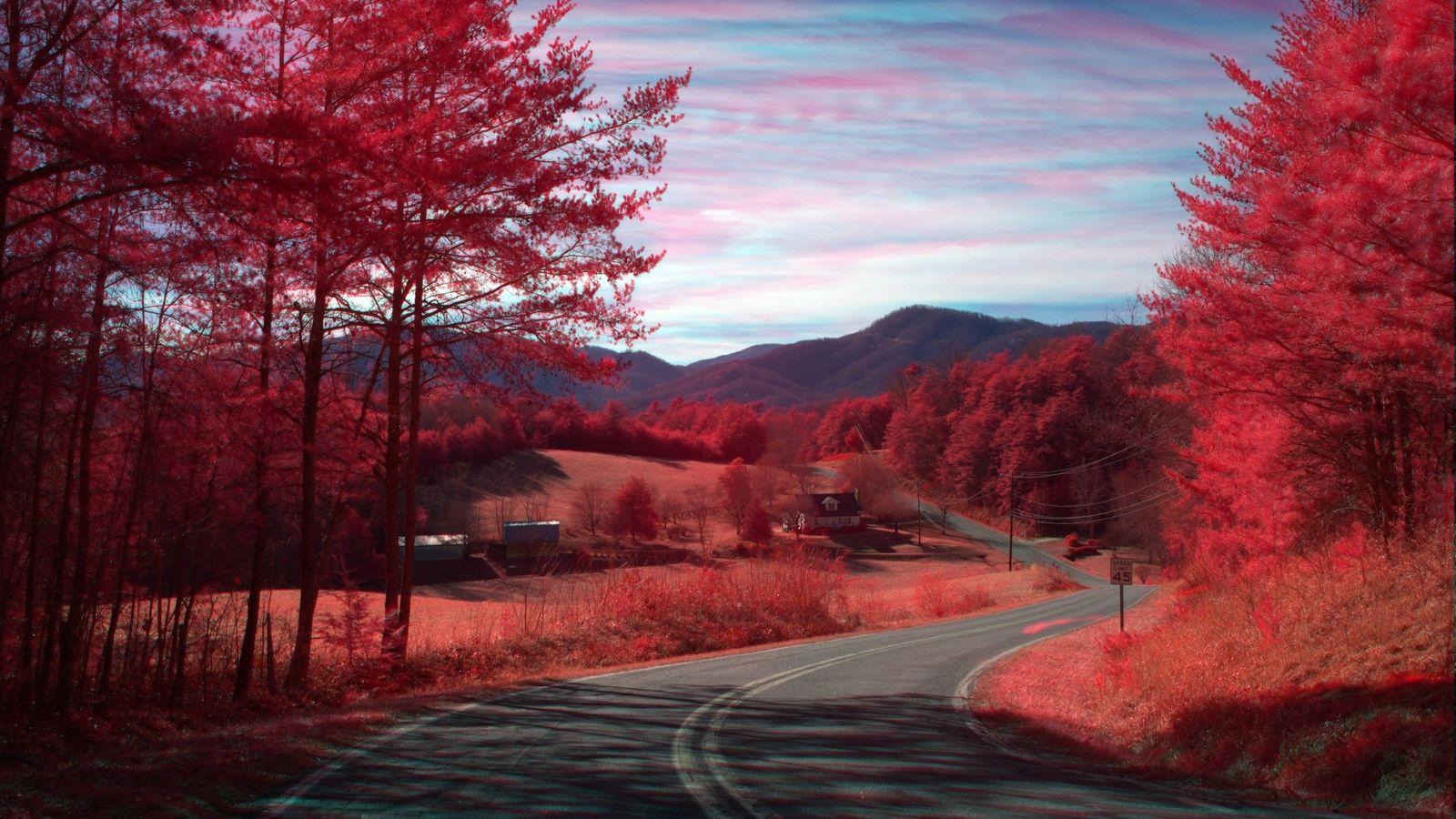 1600x900 Road Aesthetic Landscape Wallpaper