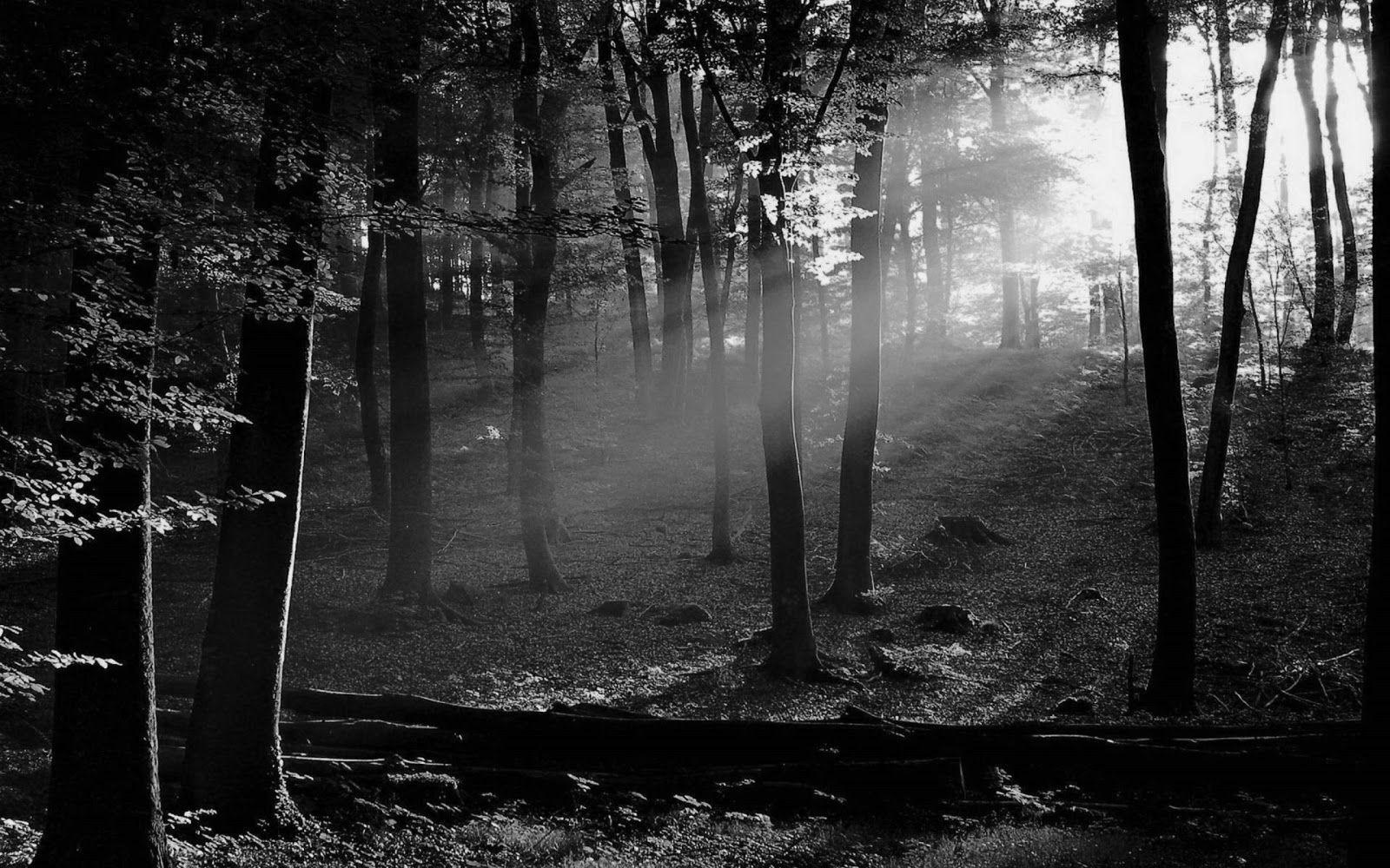 1600x1000 Image result for black and white scenery. Nature wallpaper, Painting