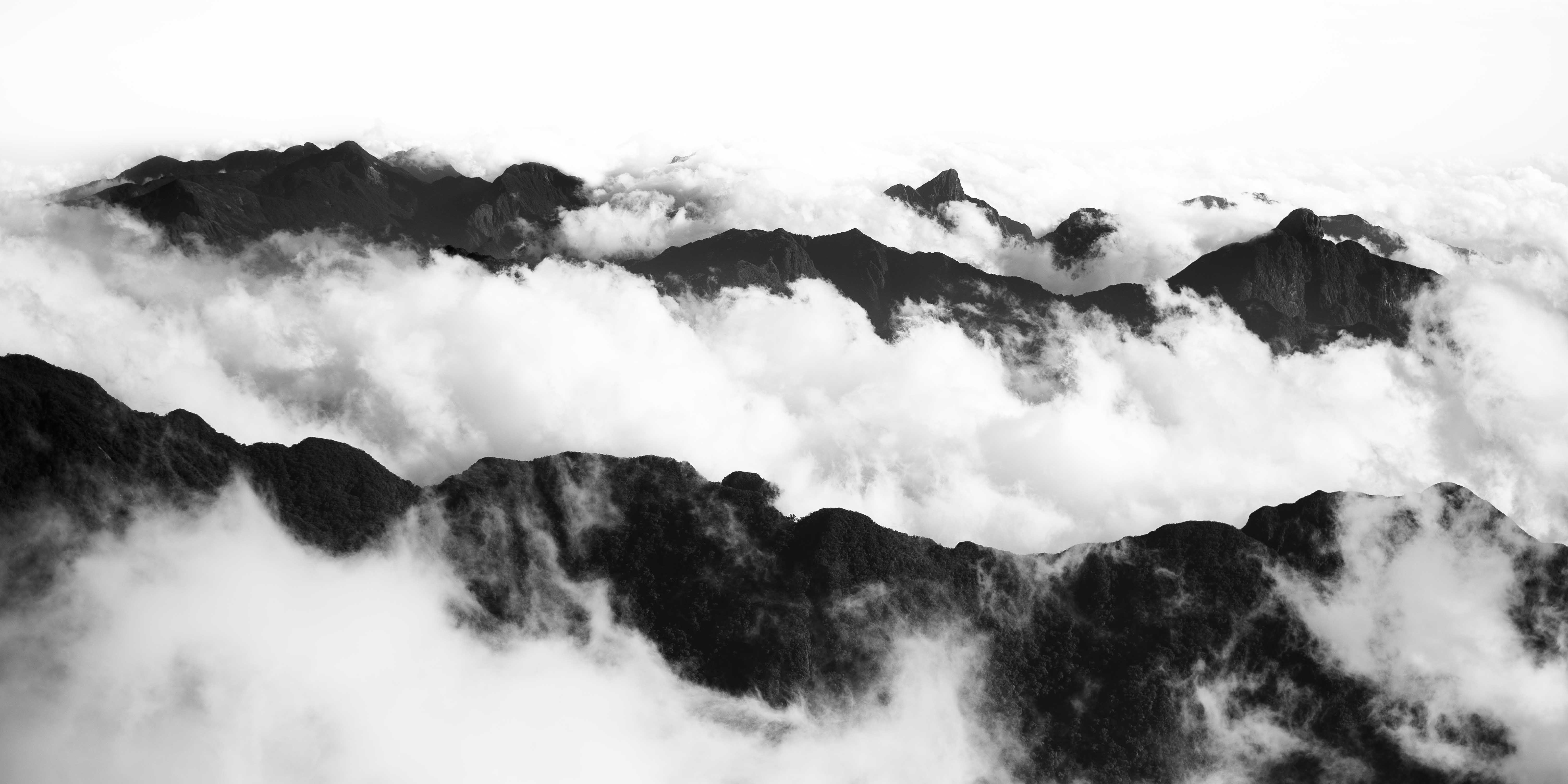 black and white landscape photo