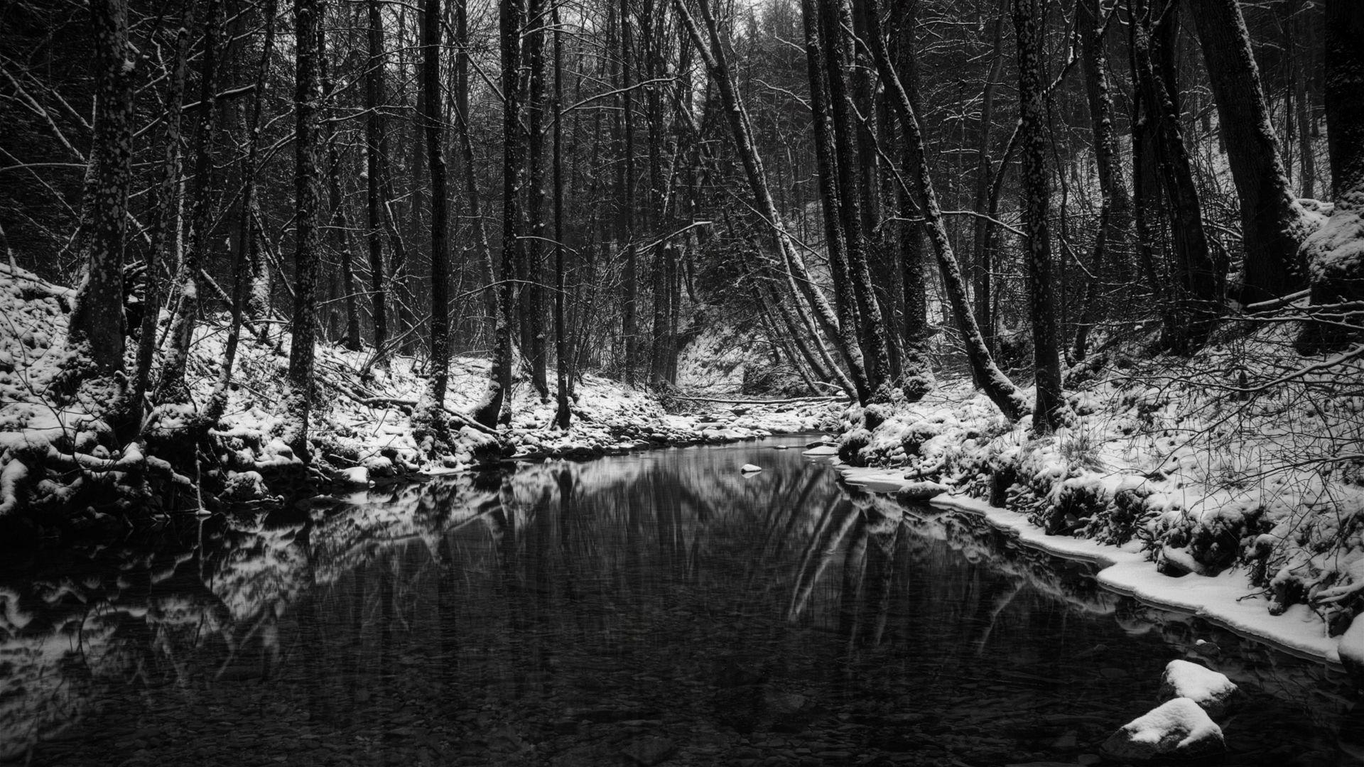1920x1080 Black White Winter Scene HD Wallpaperx1080
