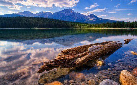 1920x1200 Scenery, summer, magnificent, background, wallpaper