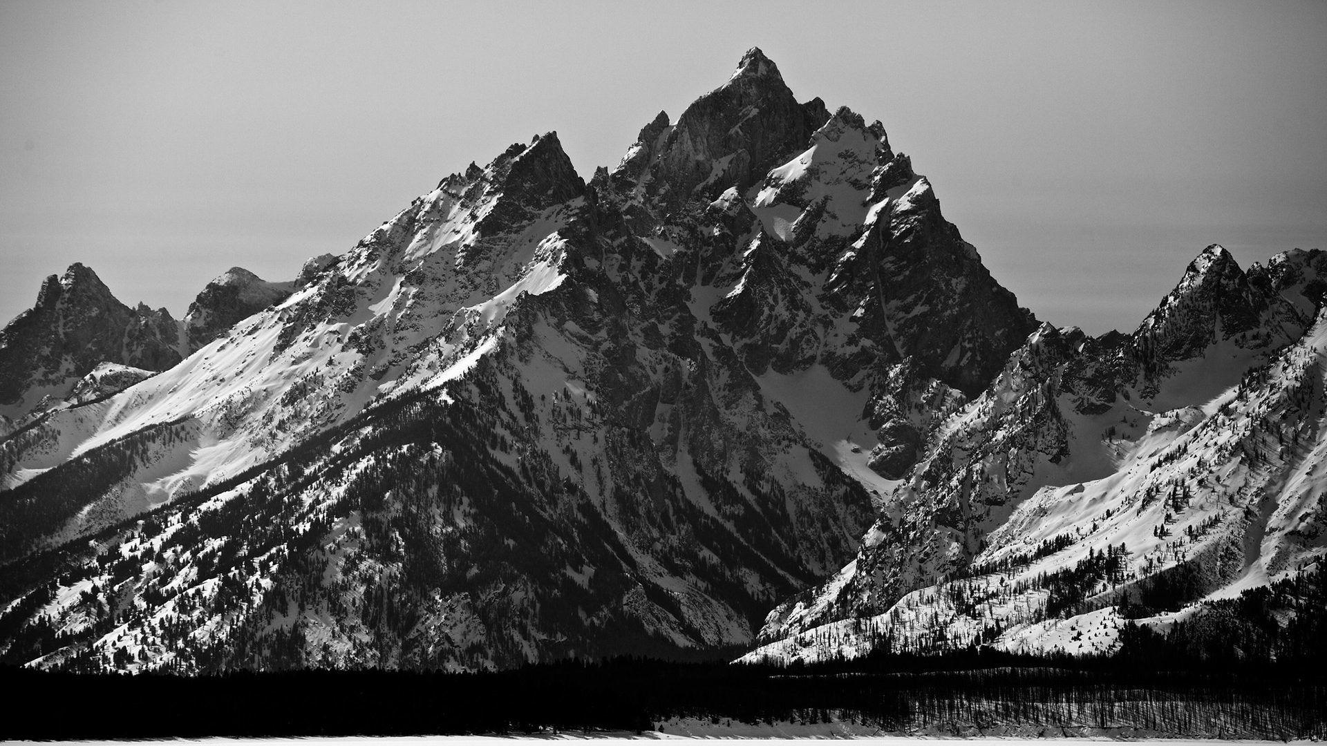 1920x1080 Black and White Nature Wallpaper
