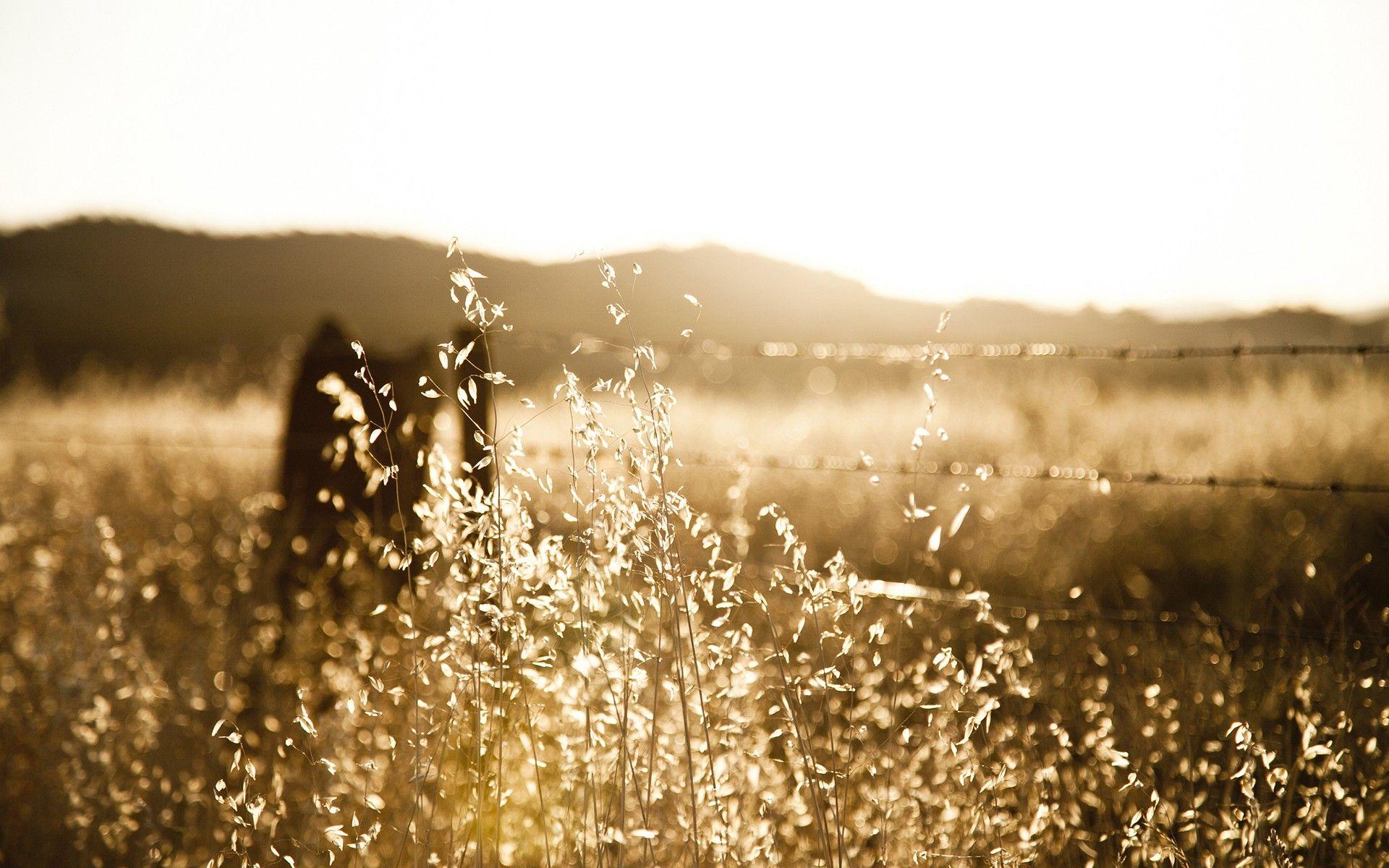 1920x1200 Rustic wallpaperDownload free awesome wallpaper for desktop