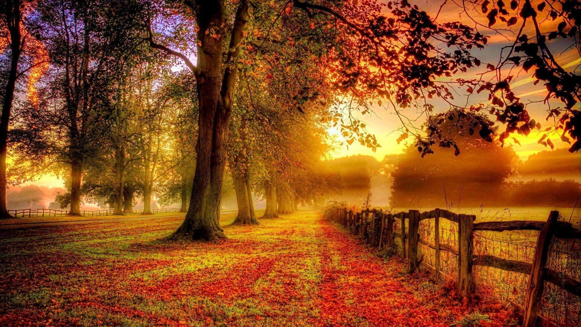 1920x1080 Autumn Wallpaper for Desktop