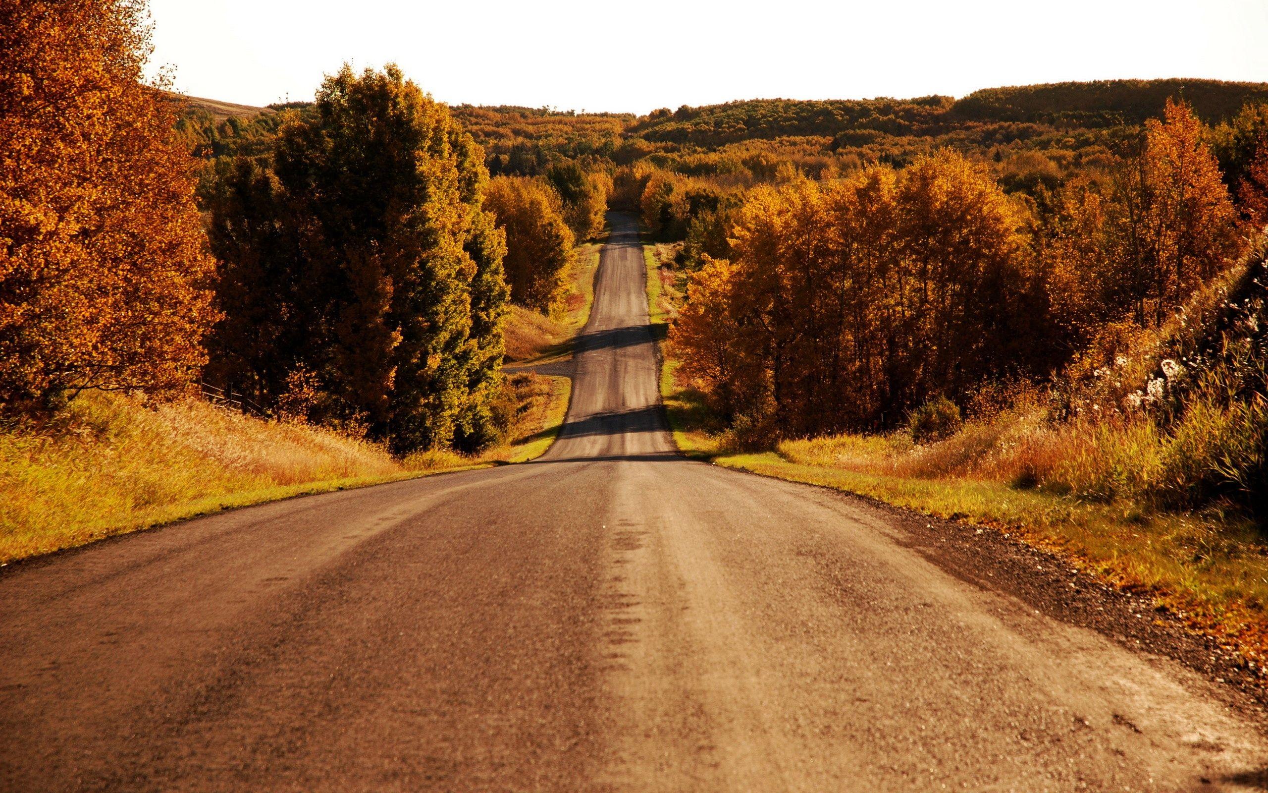 2560x1600 Leaves Fall Colorful autumn road bridge wallpaper x