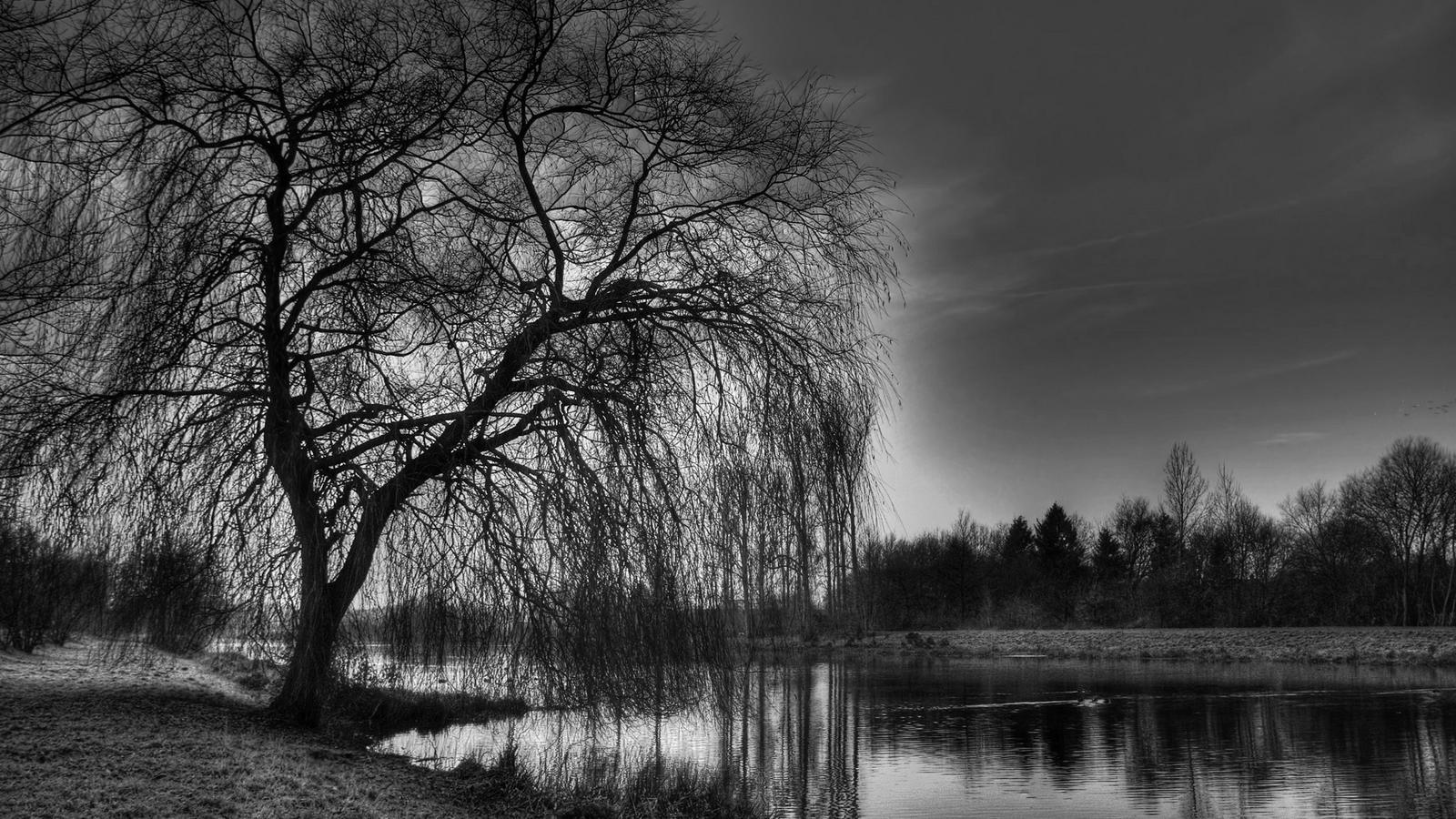 1600x900 Black Nature Wallpaper