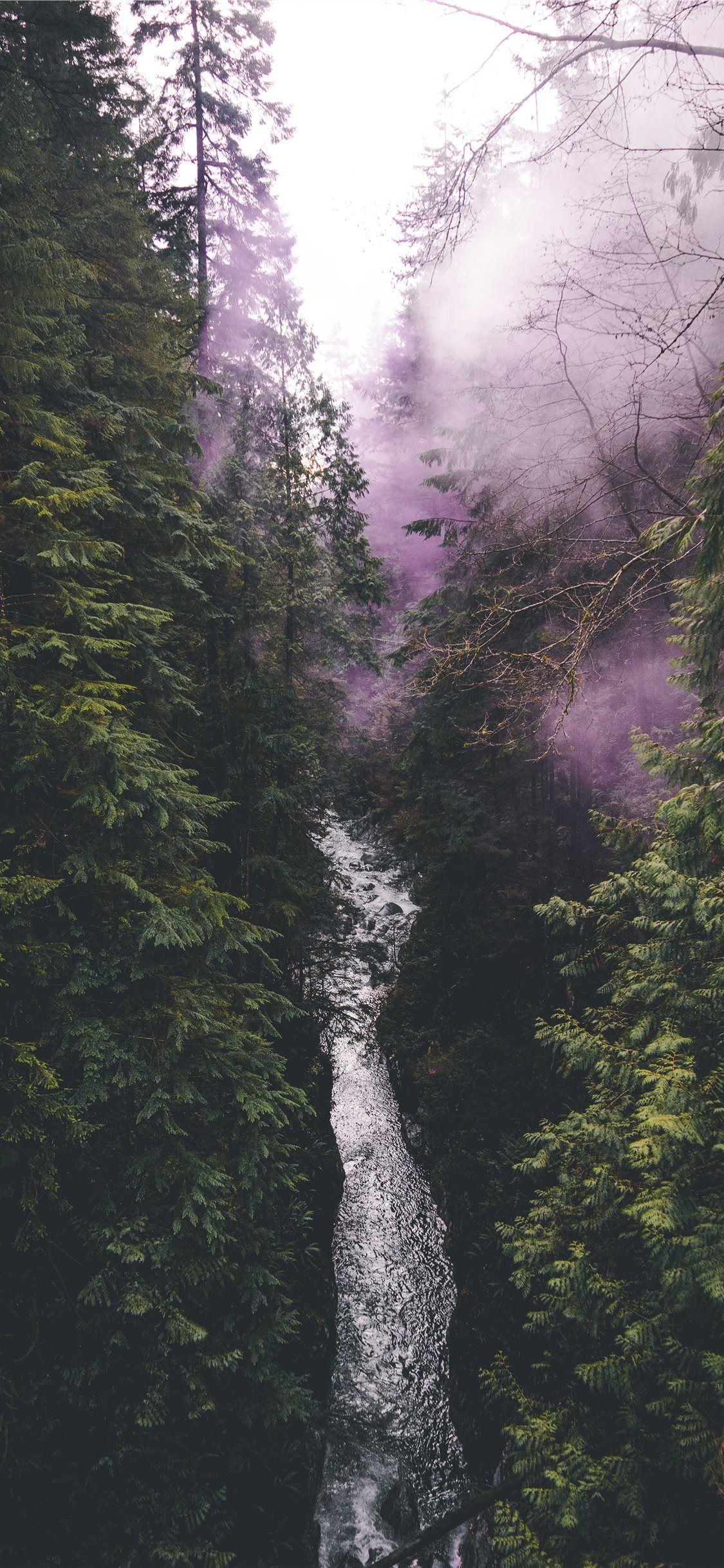 1125x2436 Vancouver Canada iPhone Wallpaper Free Download