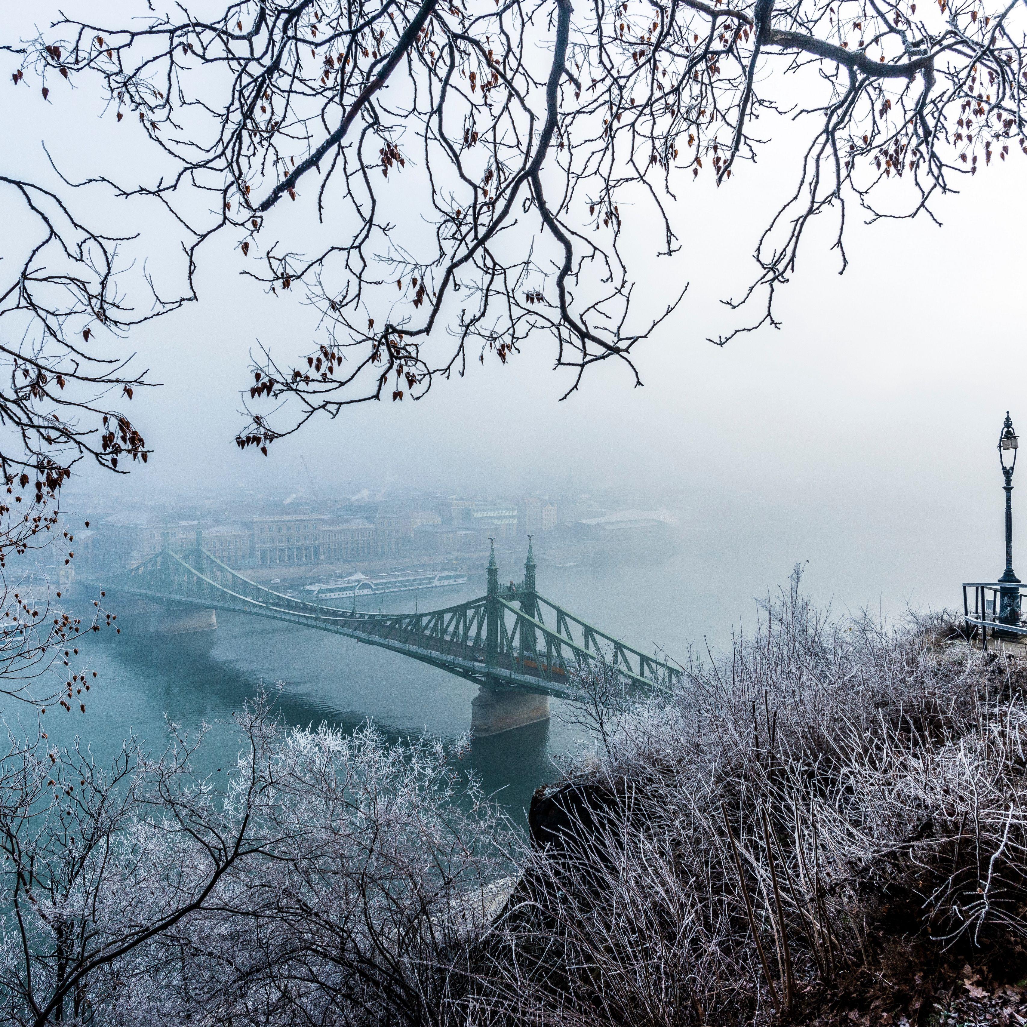 3415x3415 Download wallpaper 3415x3415 bridge, fog, aerial view, branches