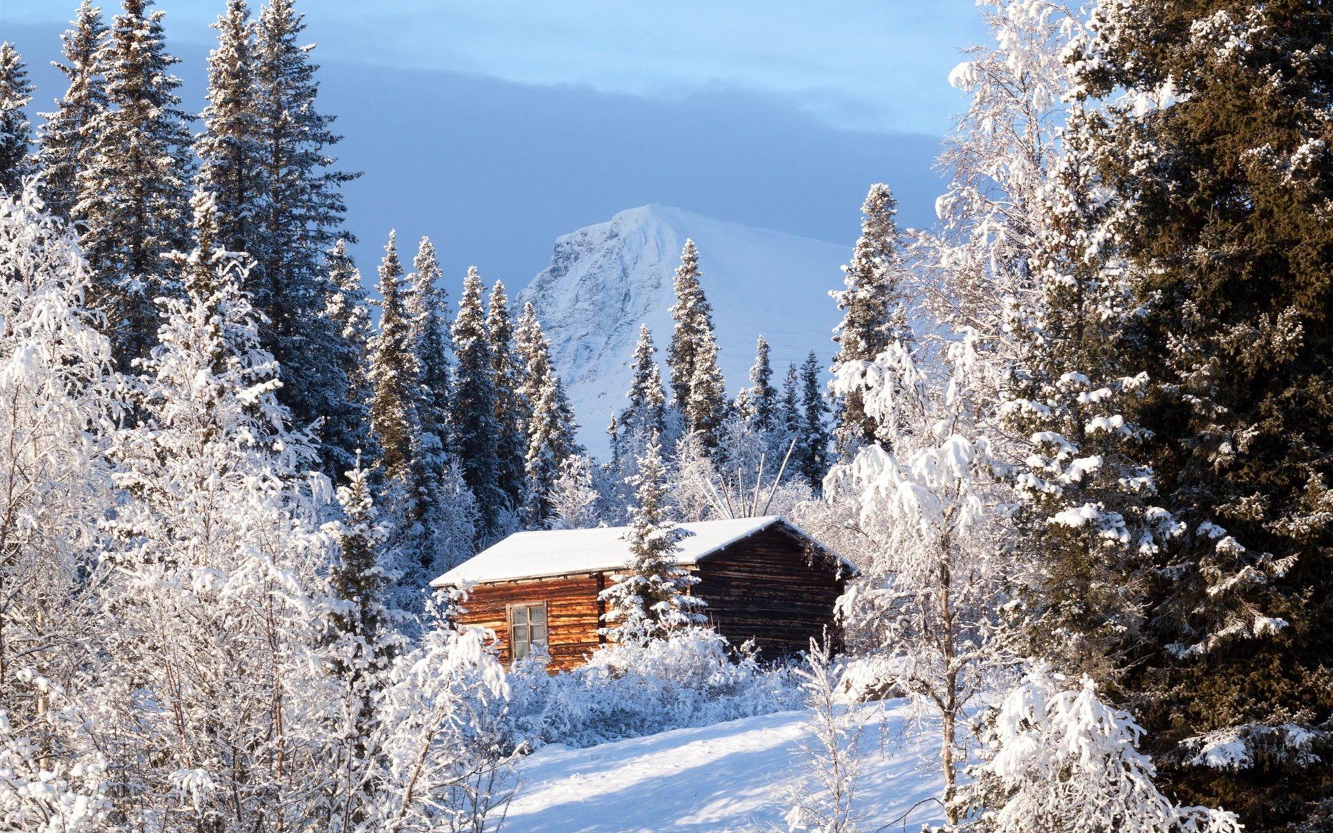 1920x1200 Wallpaper Sweden, forest, wood house, snow, winter 1920x1200 HD
