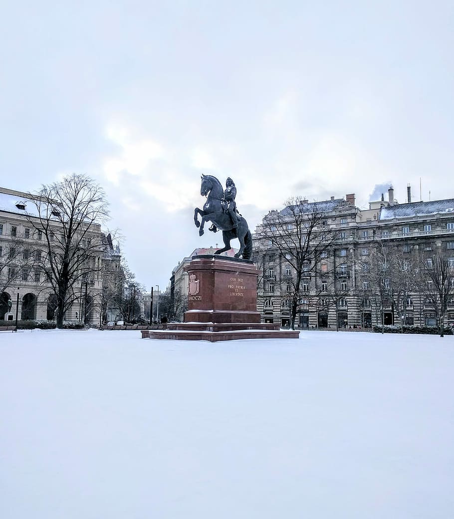 910x1040 HD wallpaper: winter, snow, cold, city, monument, statue, horse