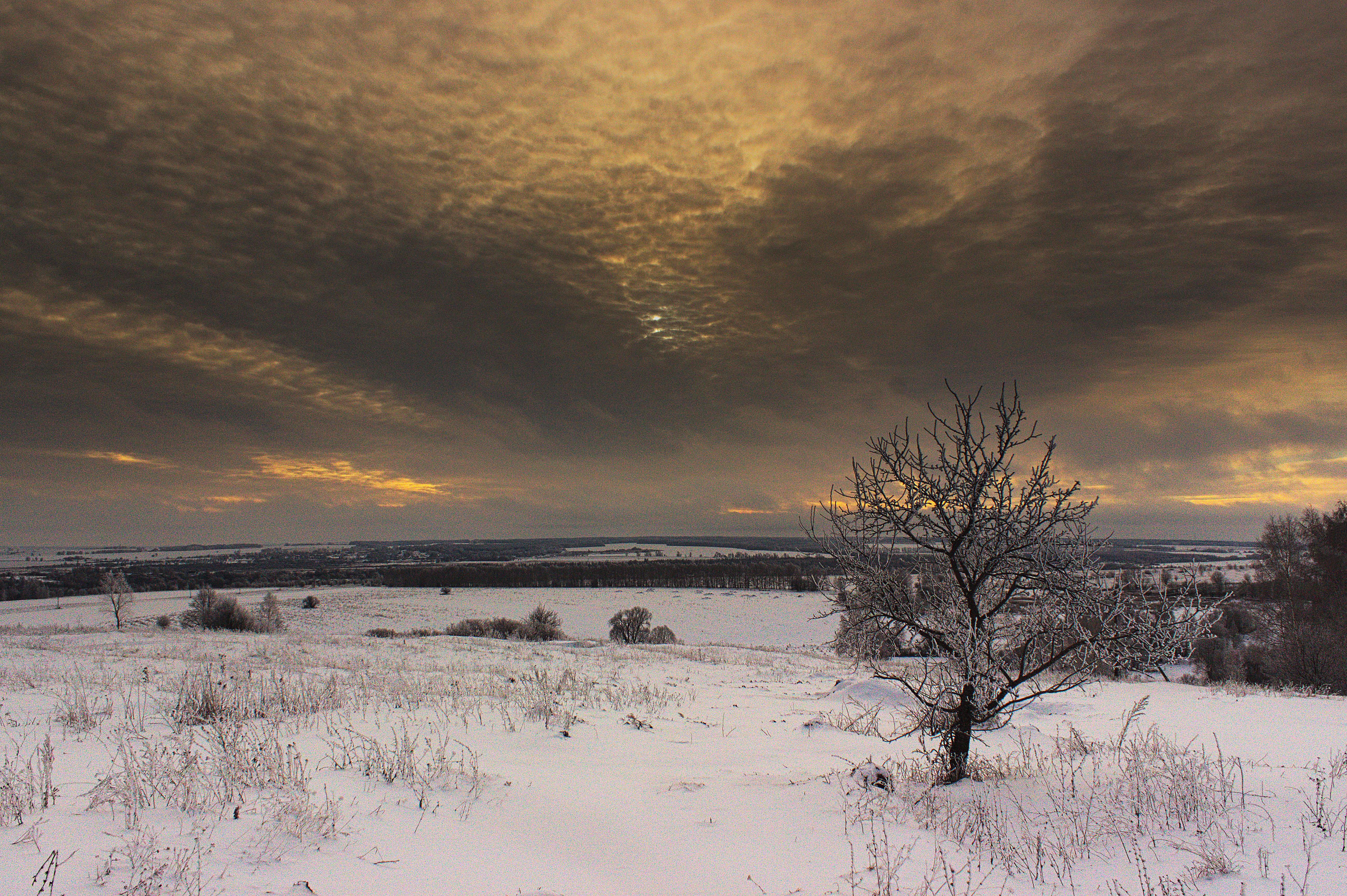 5194x3457 winter 4K wallpaper for your desktop or mobile screen free